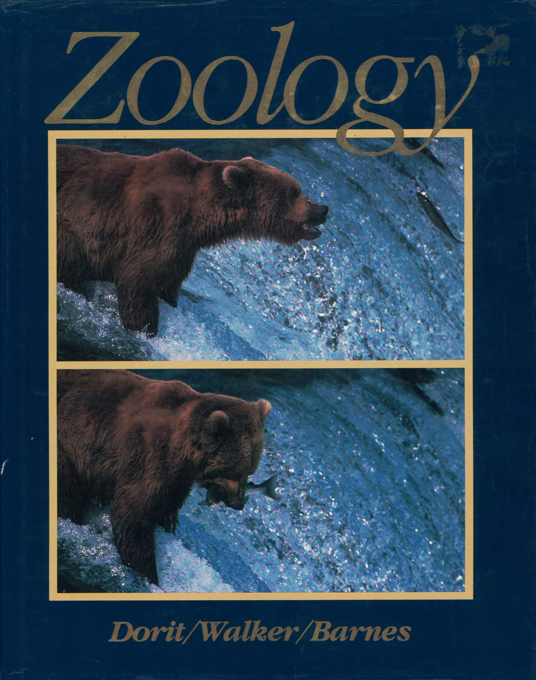 Zoology cover