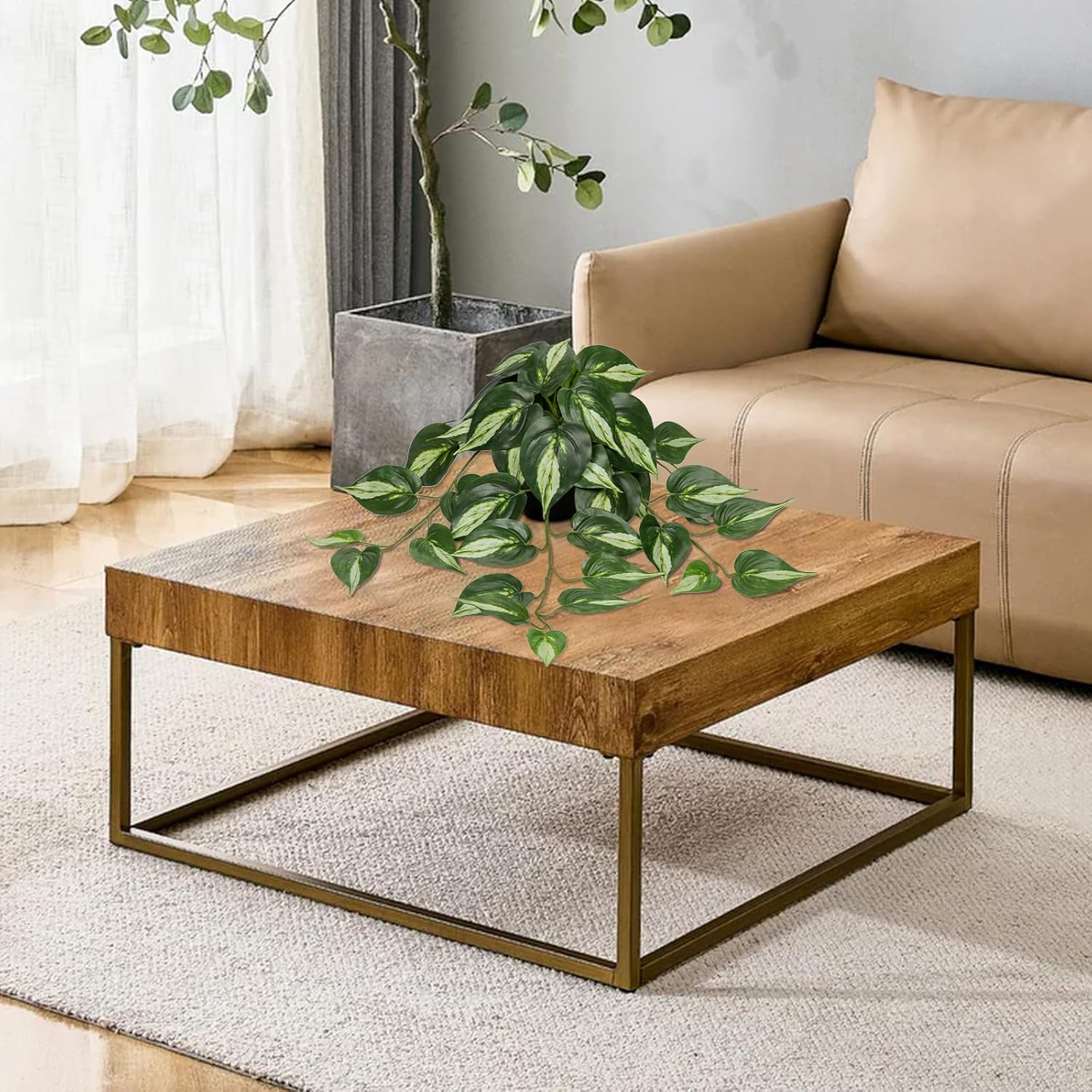 https://m.media-amazon.com/images/I/819AIcROgHL._AC_SL1500_.jpg