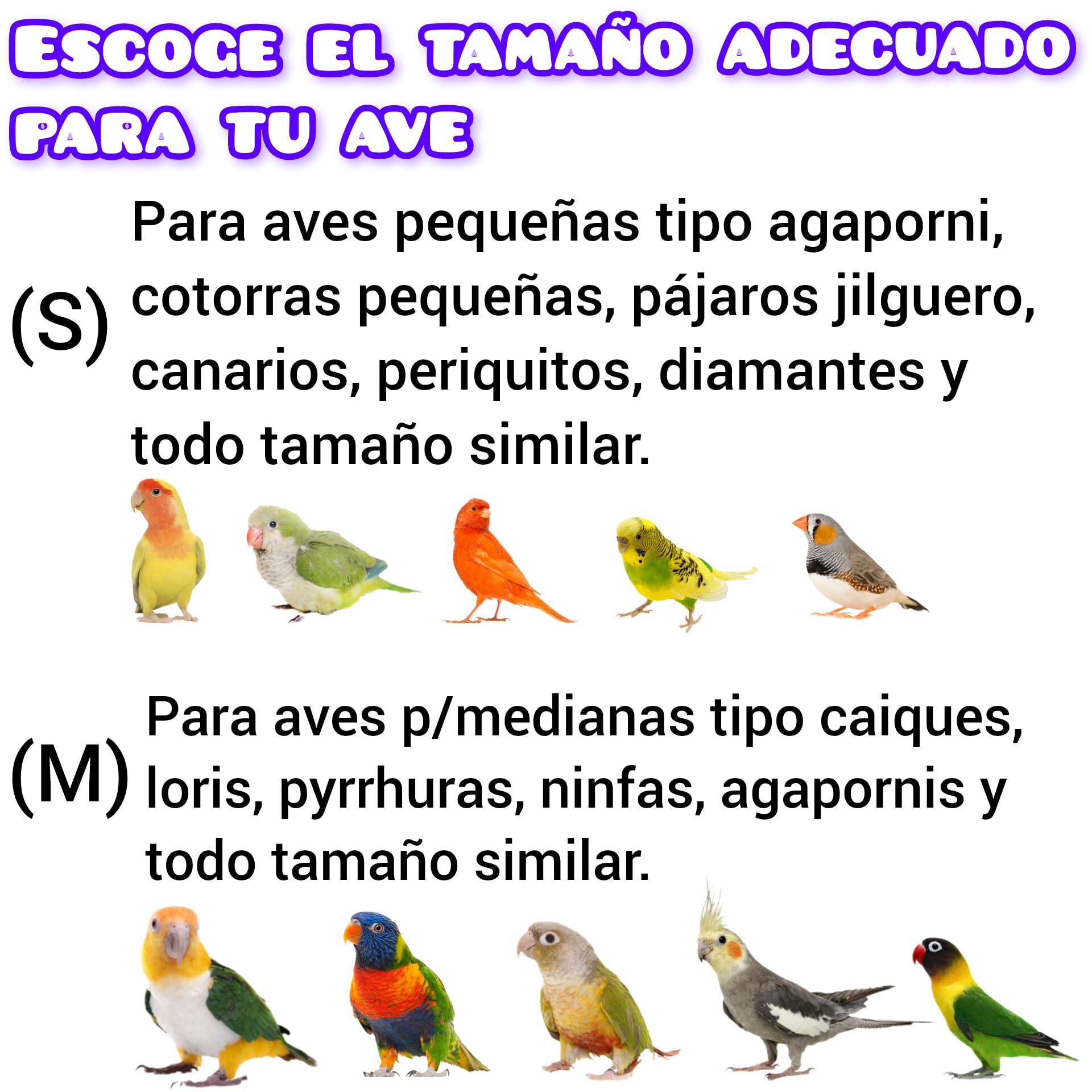 Nido para loro caique, pyrrhuras, caja de cría aves ninfa, casa para jaulas de pájaros canarios, mandarines, refugio conures con percha natural, cama aviario agaporni, loris. (M, + Fibra de coco)