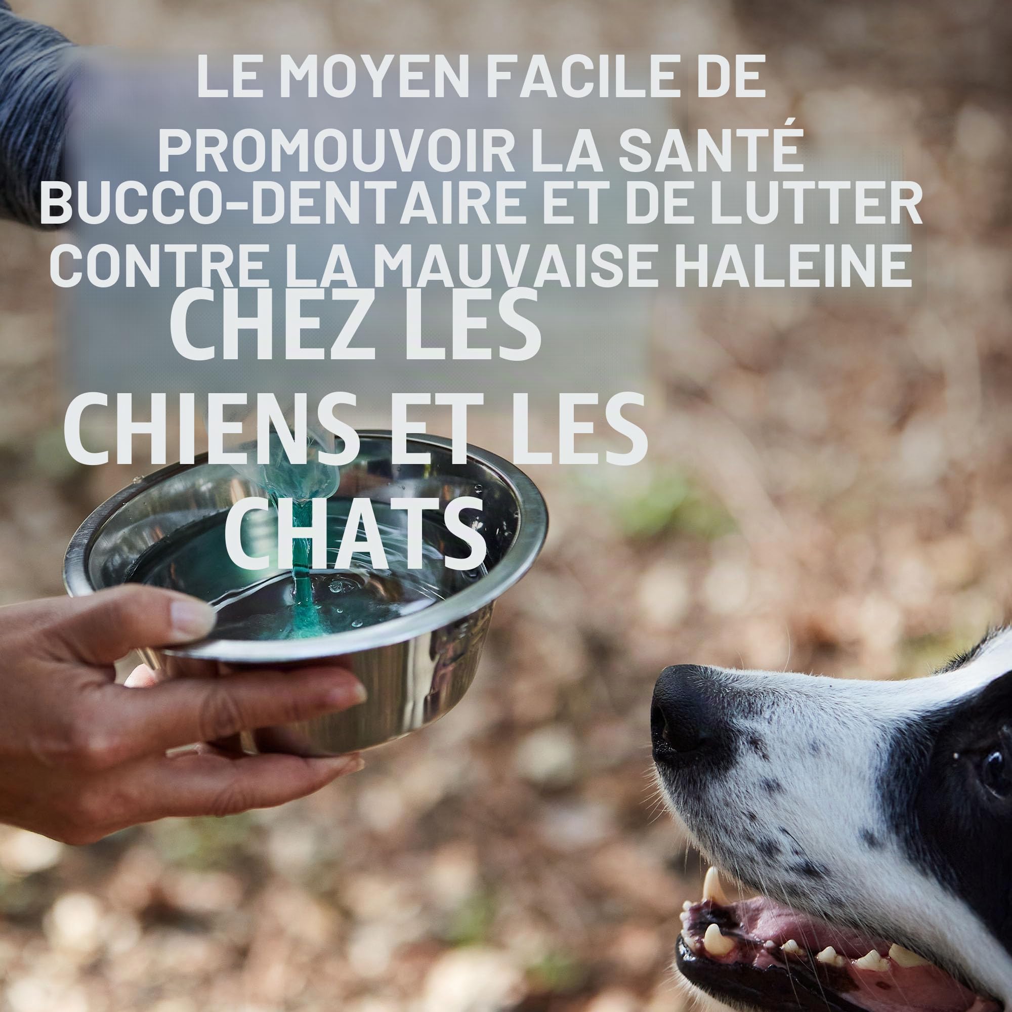 Virbac Vet Aquadent 500 ML