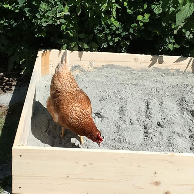 Foto 8 de 8 de Schicker Mineral Hüfisan lecho Mineral para gallinero y baño de Polvo, Arena para gallinas y Aves