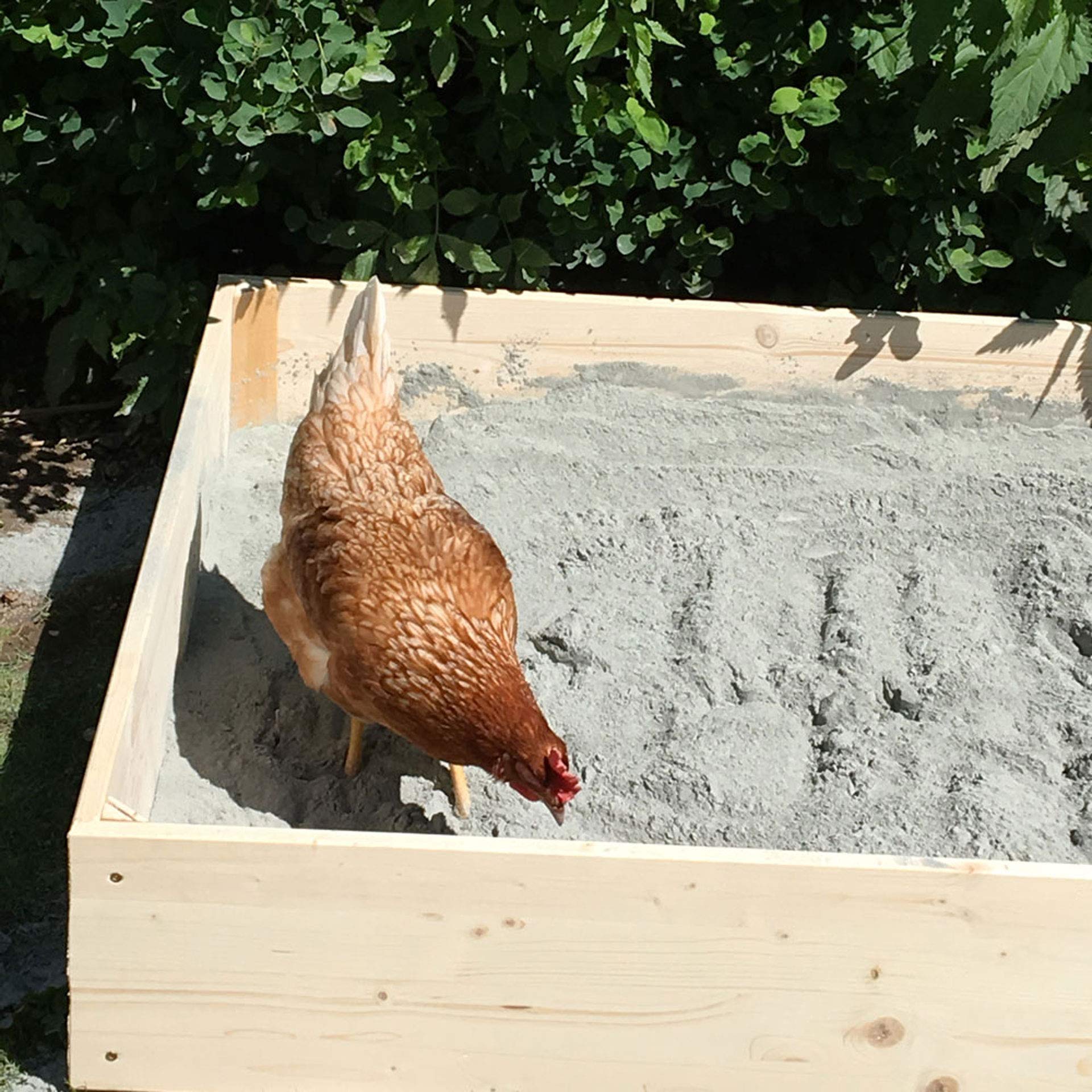Schicker Mineral Hüfisan Geflügeleinstreu 25 kg, Badesand aus Diabas Urgesteinsmehl für Hühner, Tauben & Geflügel, Naturprodukt zur Feder- & Stallpflege, aktiver Schutz vor Parasiten und Milben
