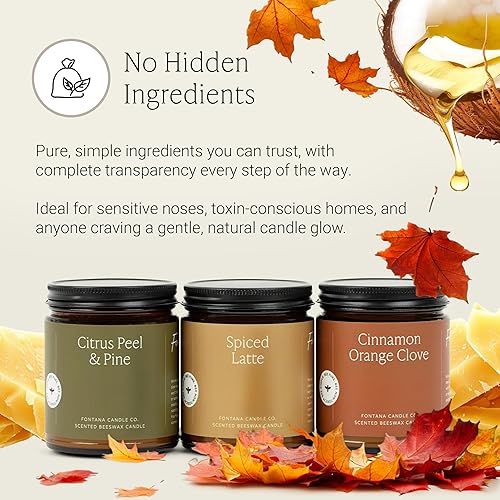 Miniatura 6 de Fontana Candle Company - Vela sin perfume de cera de abejas y aceite de coco de 9 onzas, mecha de madera, no tóxica, largo tiempo de combustión,