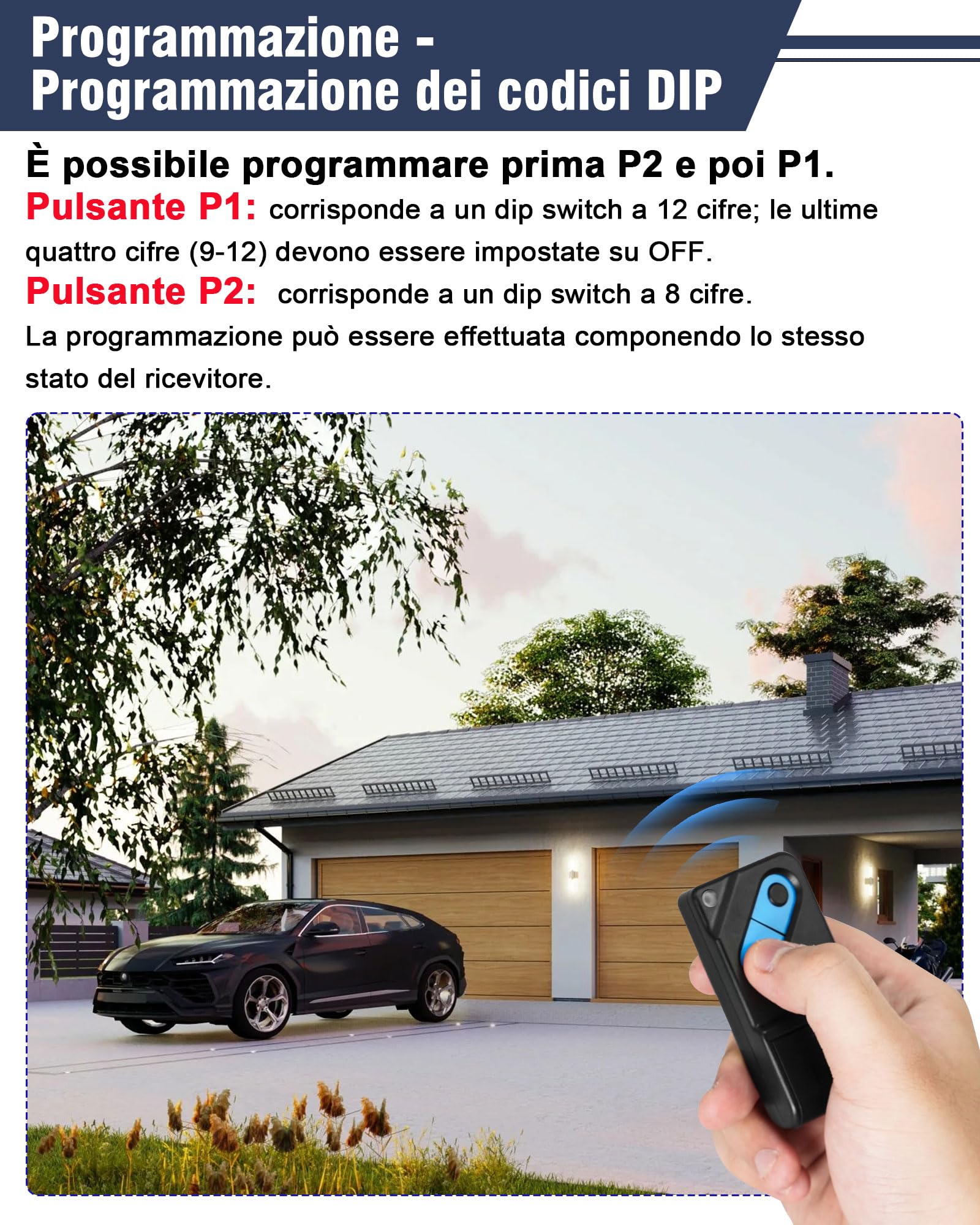 RUIZHI Mando a distancia para TM2 433 DS (2 canales, 433 MHz, 2 unidades)