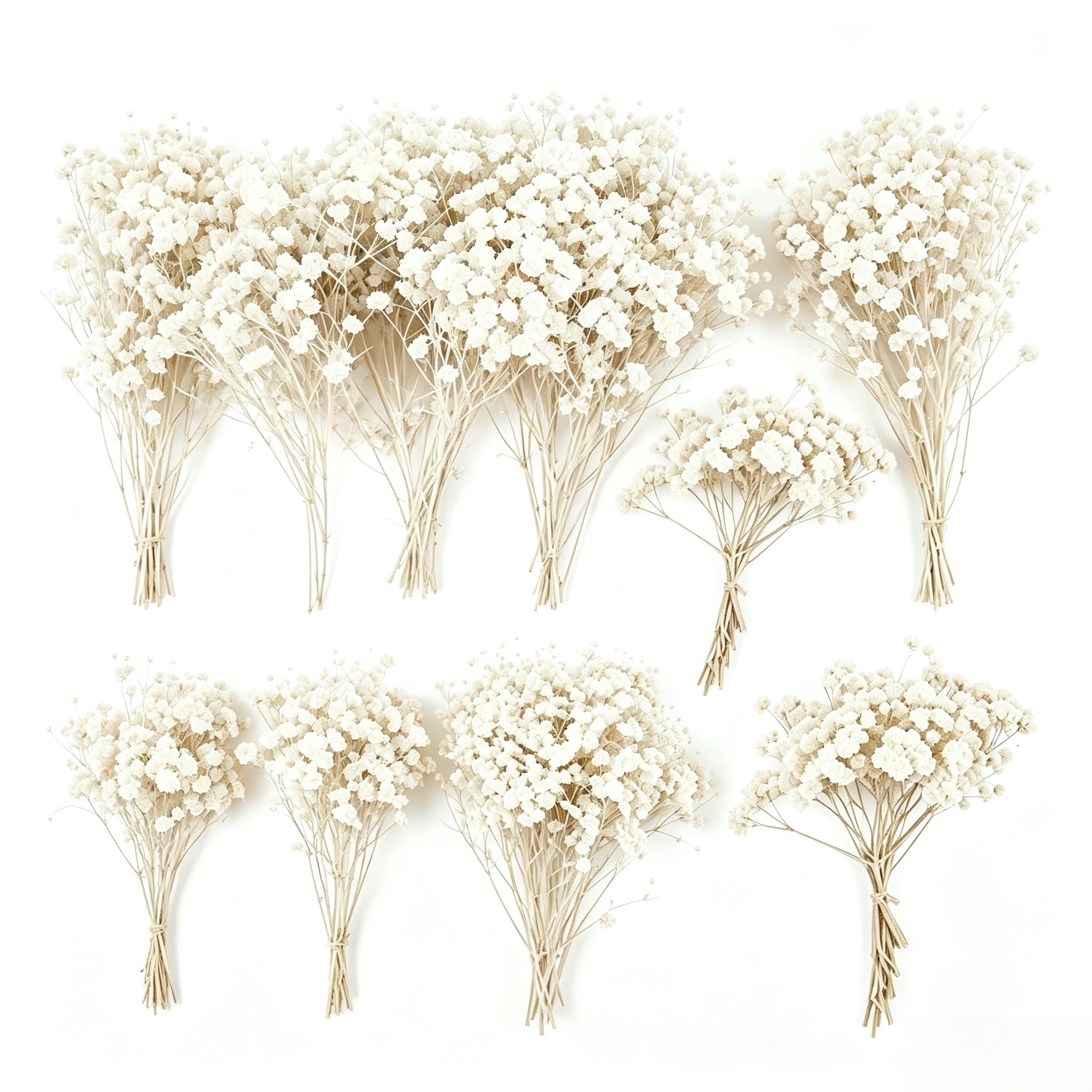 100pcs Natural Dried Baby’s Breath Flowers Pure white Preserved-Dried Babies Breath Bouquet, Real Gypsophila for Wedding, DIY Crafts, Resin Art, Invitation Cards & Home Décor