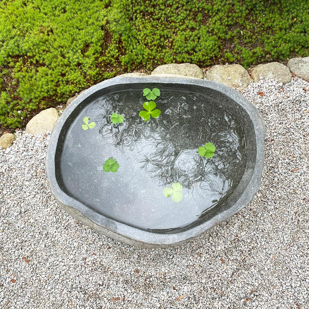 Amazon.co.jp: 水鉢 石 つくばい 手水鉢 和風 庭 庭園 蹲 坪庭 和