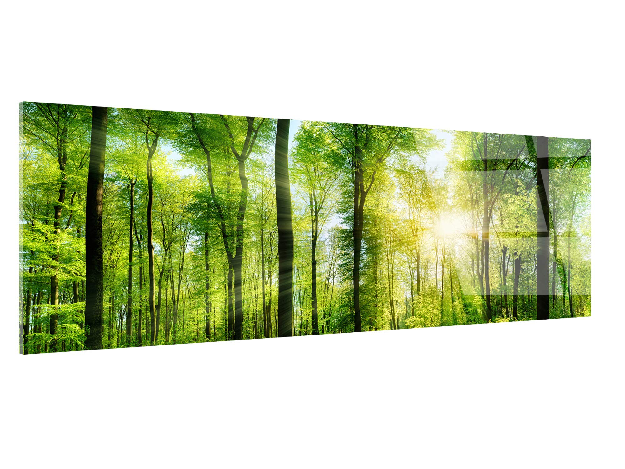 Delina Wandbild, Plexiglas Natur Verdoyante grün – Druck Acrylglas Modern Vintage – Dekoration für Haus, Küche, Wohnzimmer, Schlafzimmer, Büro – 120 x 50 cm