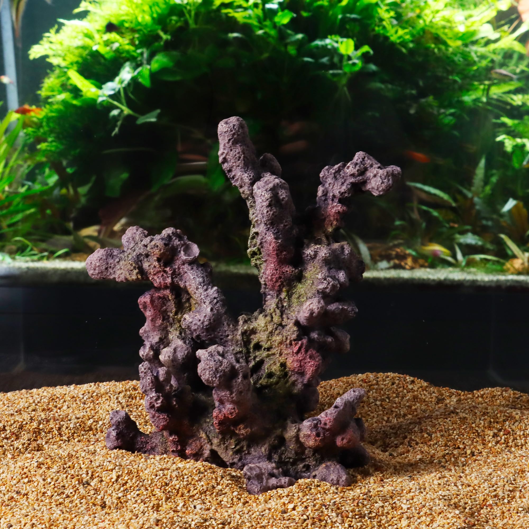 Amtra żywica dekoracja REEF ROCK BRANCH MD 2