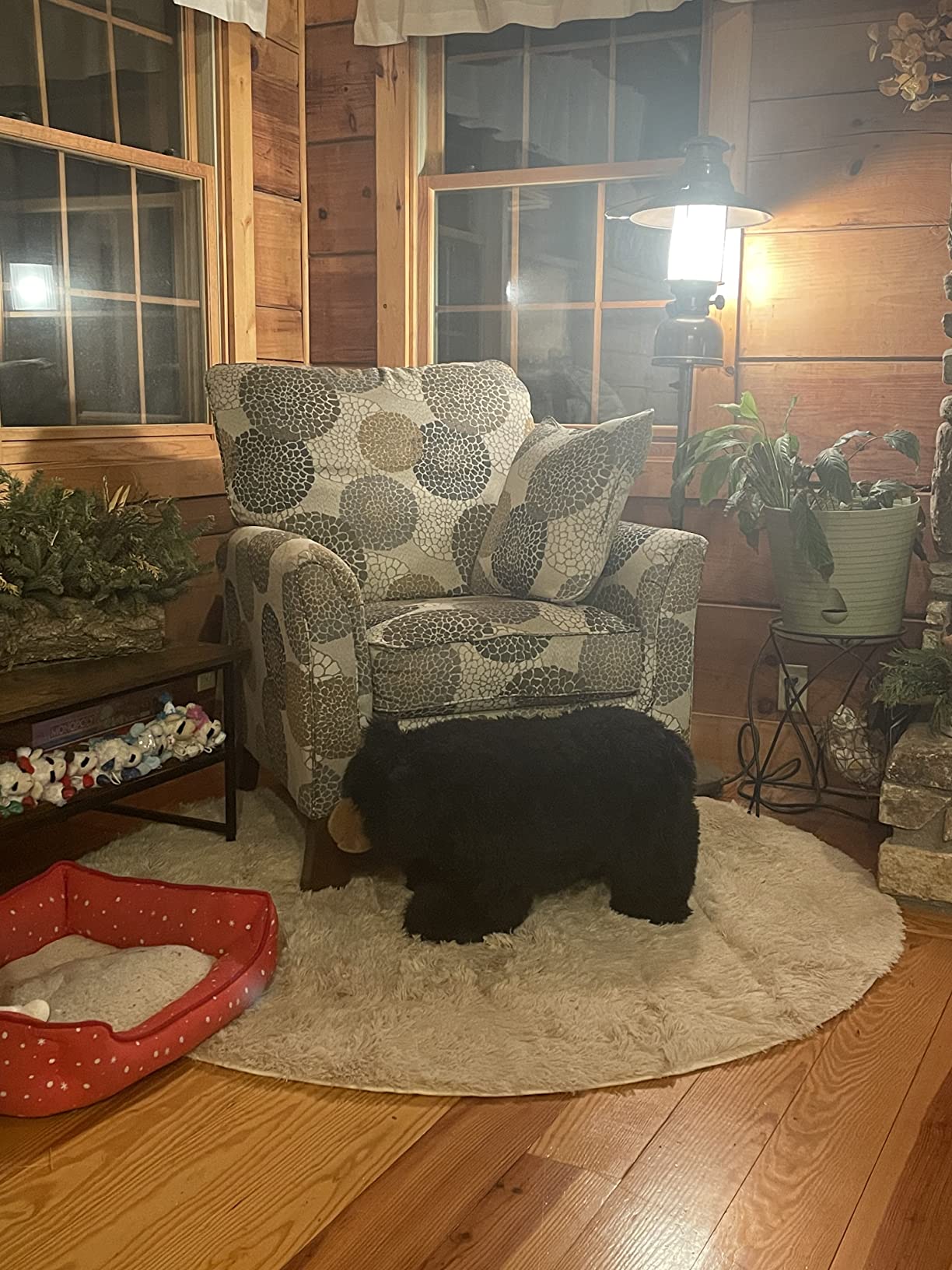 $5/mo - Finance Red Round Rug for Bedroom,Fluffy Circle Rug 4'X4' for ...