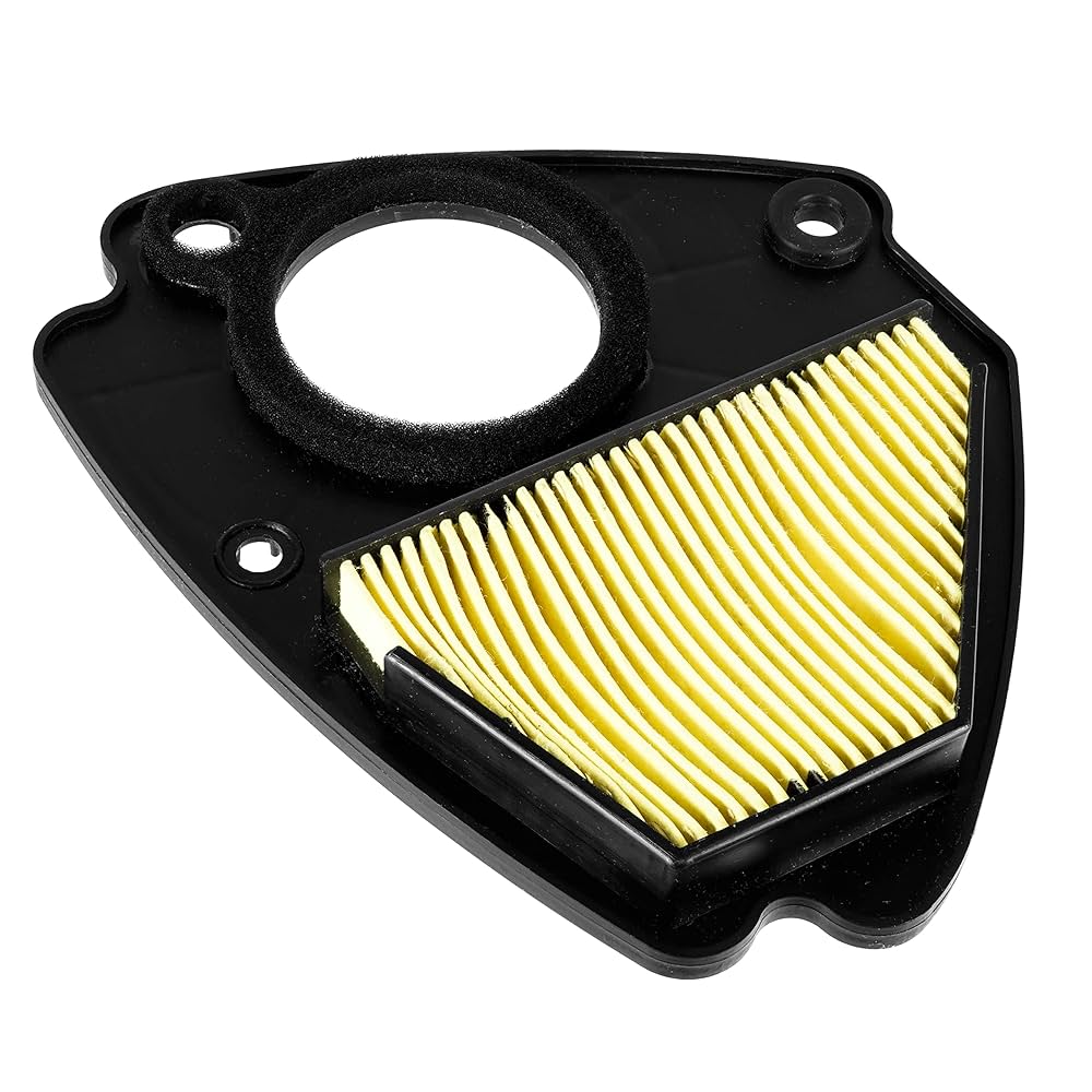 Amazon.com: Caltric Air Filter Cleaner Element Compatible
