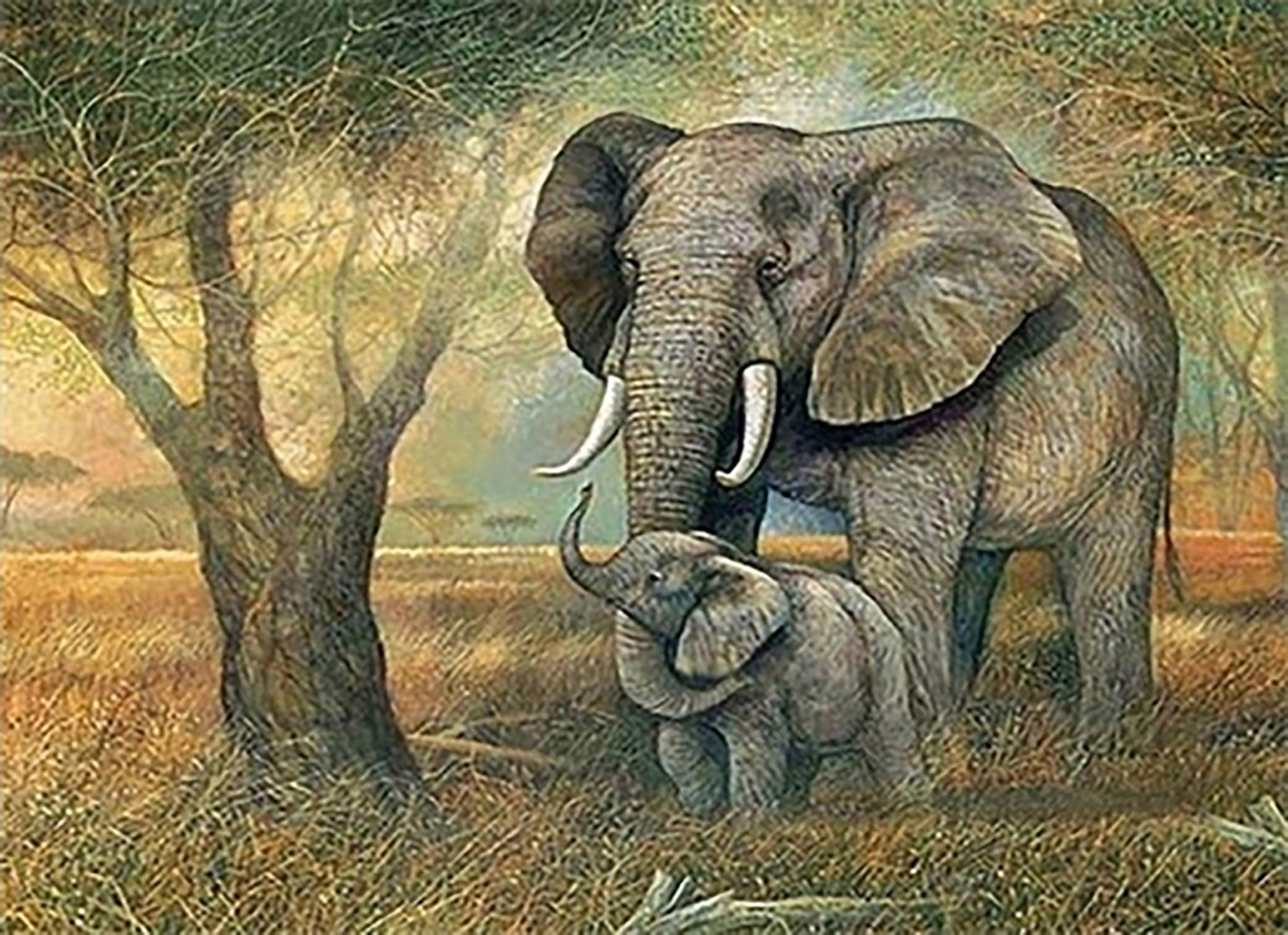 Pracht Creatives Hobby Diamond Painting Set, Picture with Elephant Motif and Accessories, Size Approx. 35 x 25 cm, Craft Set for Painting with Rhinestones for Children from 5 Years