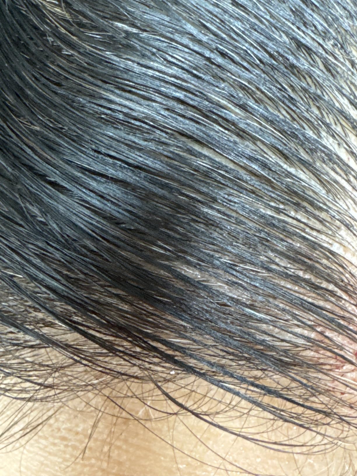 Priya's review photo — before and after grey coverage