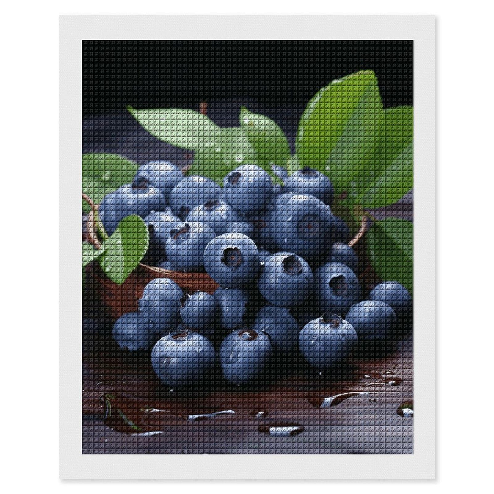 Delicious Blueberries Diamond Art Kits for Adults, DIY 5D Diamonds Painting Kits for Beginner, Round Full Drill Diamond Dots Painting, 16"x20" Diamonds Pictures Gem Art and Crafts Wall Decor