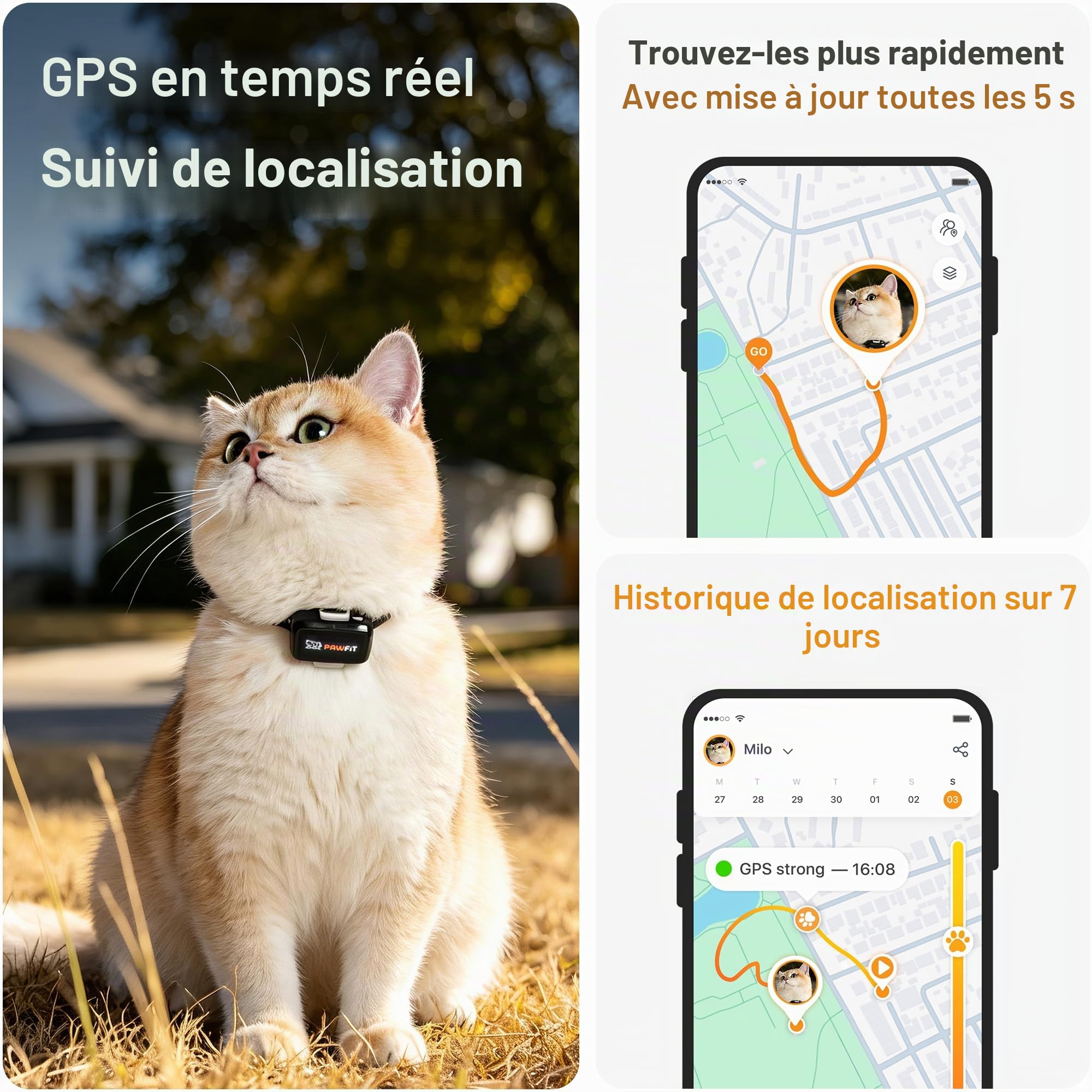 Pawfit Lite - Traceur GPS 4G pour chat - Suivi en temps réel - Surveillance des activités - Historique - Portée illimitée - Collier clic