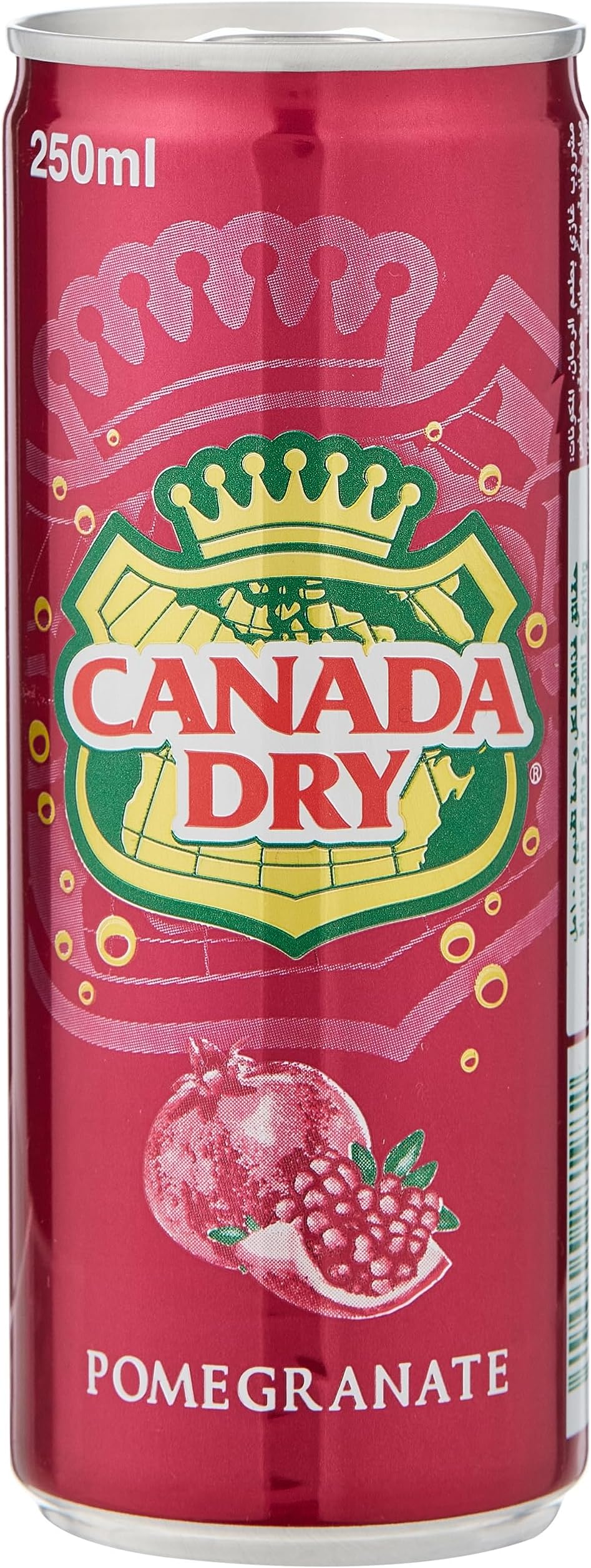 Canada Dry Pomegranate Can 250 ml