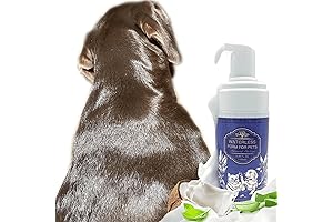 Dry Shampoo for Smelly Dogs: Waterless Dog Shampoo for Quick and Easy Dog Grooming