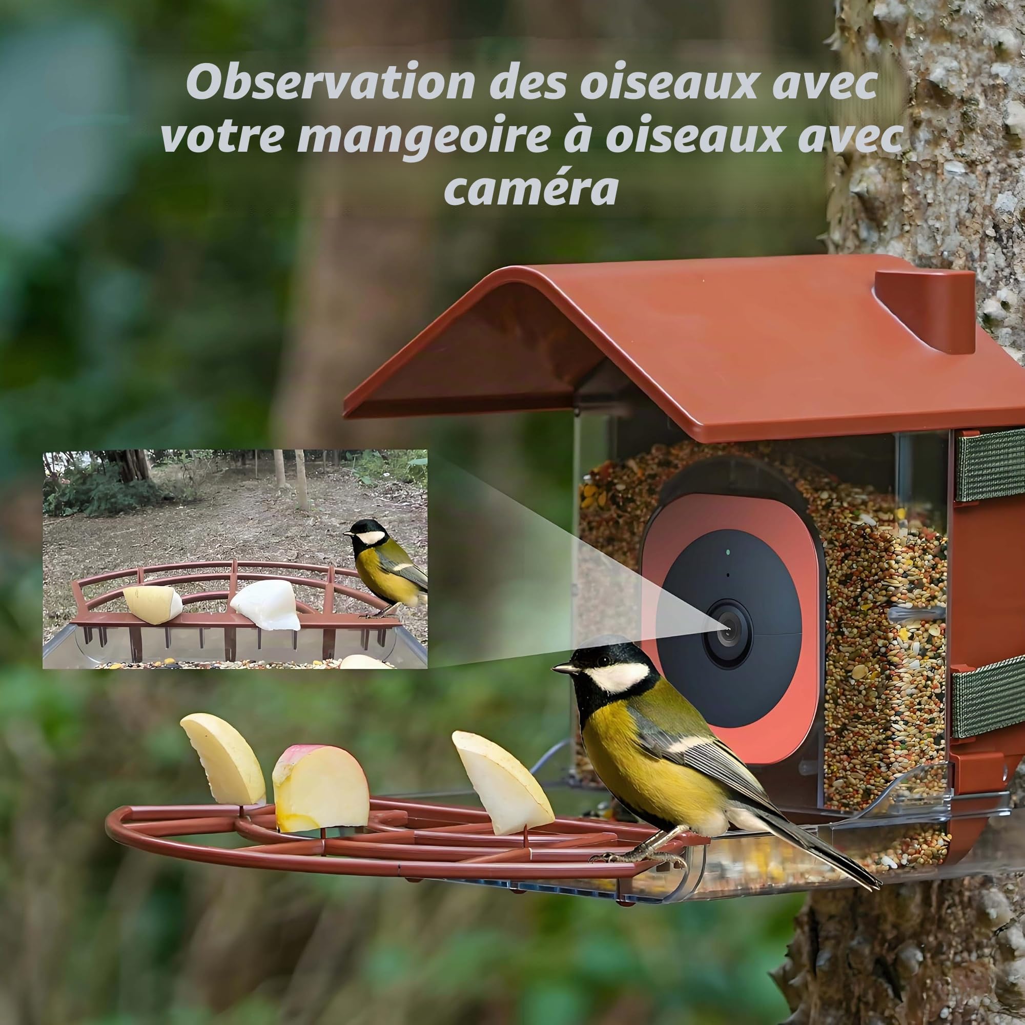 Mangeoire pour oiseaux avec boîtier caméra pour extérieur compatible avec Google Nest Cam, support de montage, étanche, grande capacité 1,6 lb, station de surveillance de la faune (caméra non