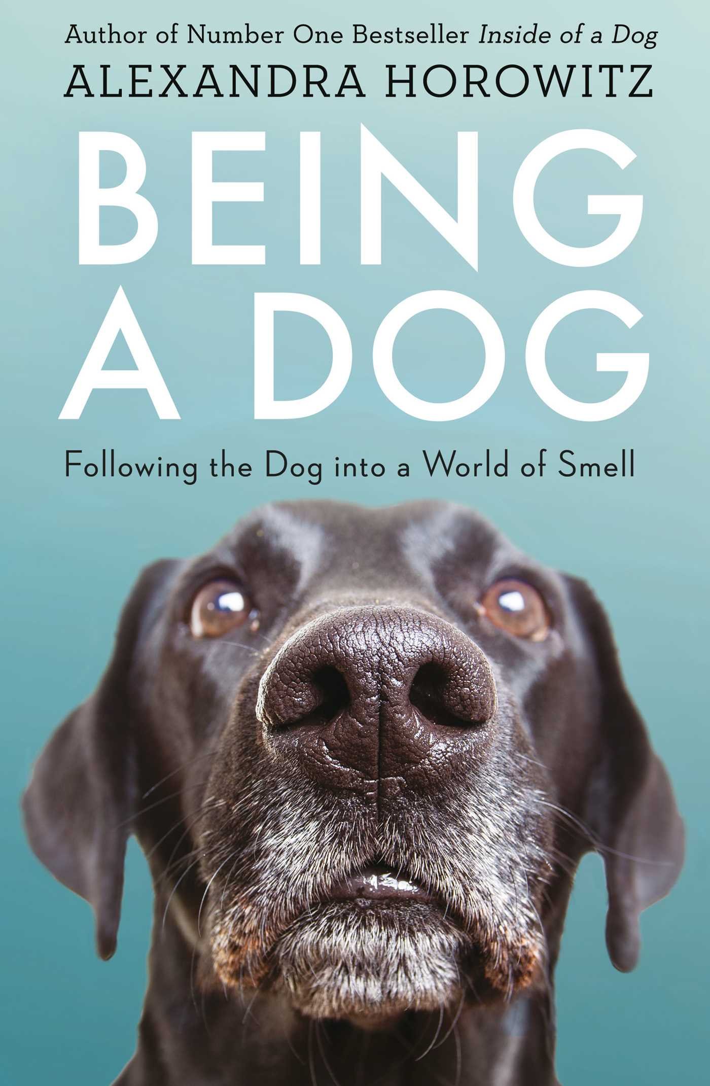 Being a Dog by Alexandra Horowitz PAPERBACK 9781471159923