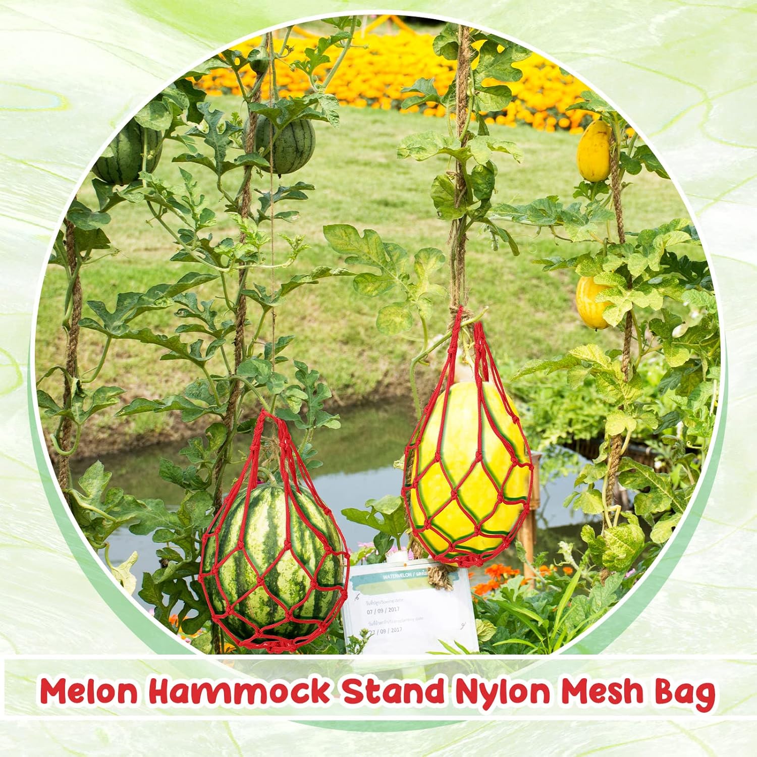 Nuenen 24 Pcs Watermelon Net Melon Hammock Melon Cradle Plant and Garden Supports Pumpkin Support Hanging Bag Protects Watermelons, Honeydew, Squash, Cantaloupes (Red)