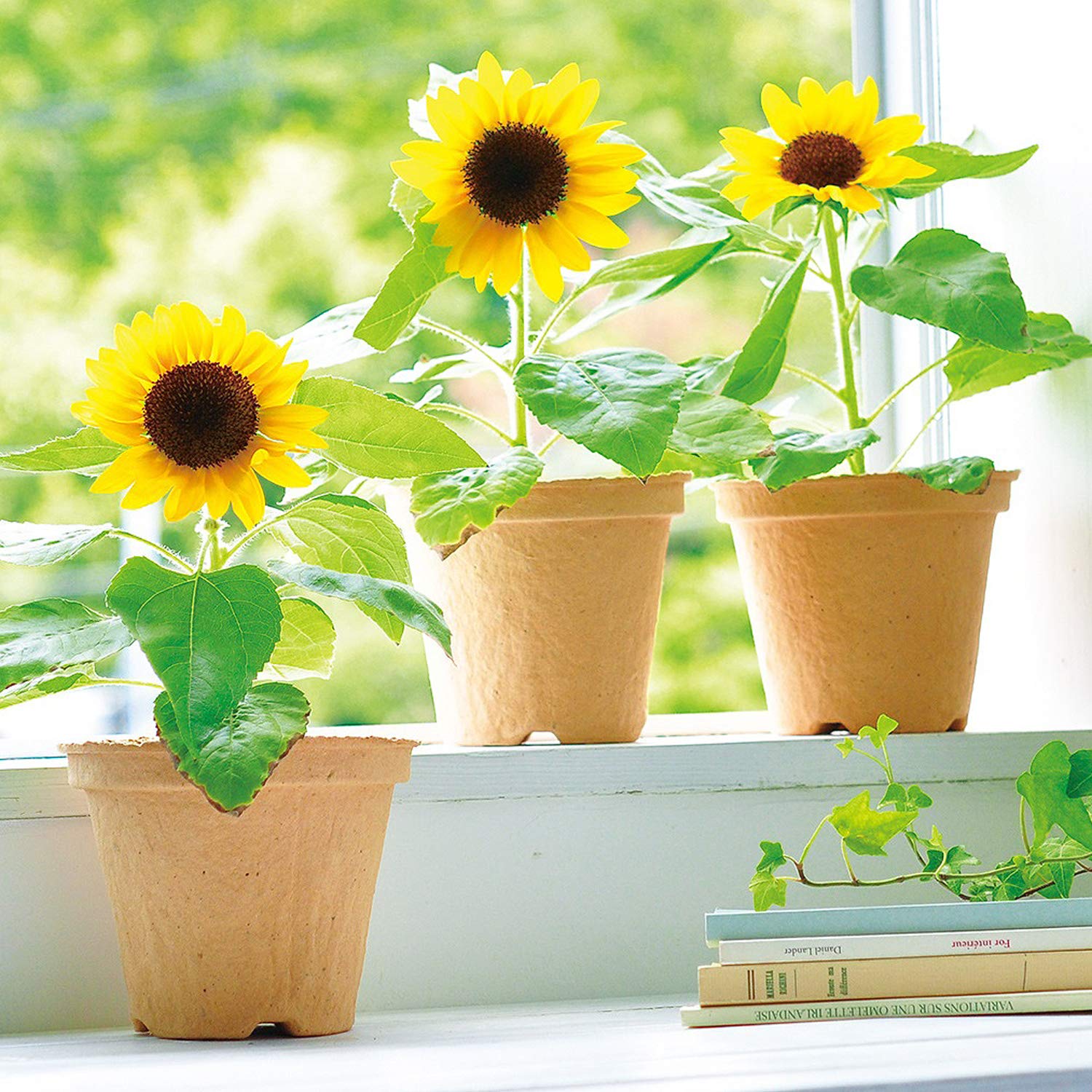 ひまわり出品 Amazon｜himsyuden ひまわり 造花 花束 5本 向日葵ブーケ 黄色の