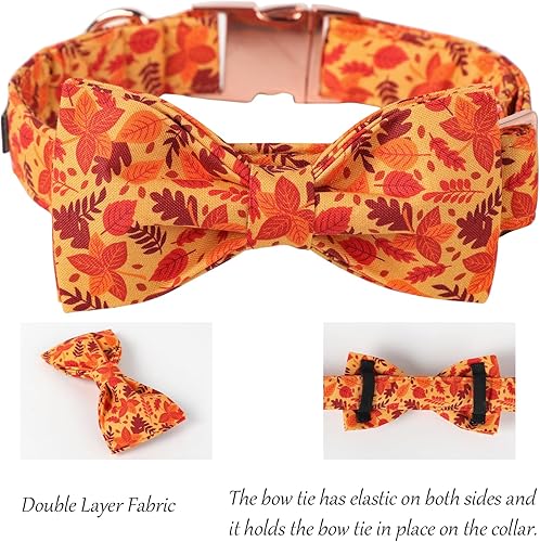 Miniatura 3 de Lionet Paws Collar para perro con corbatín, bonito collar de algodón ajustable con hebilla de metal para perro pequeño, mediano y grande, regalo XS,