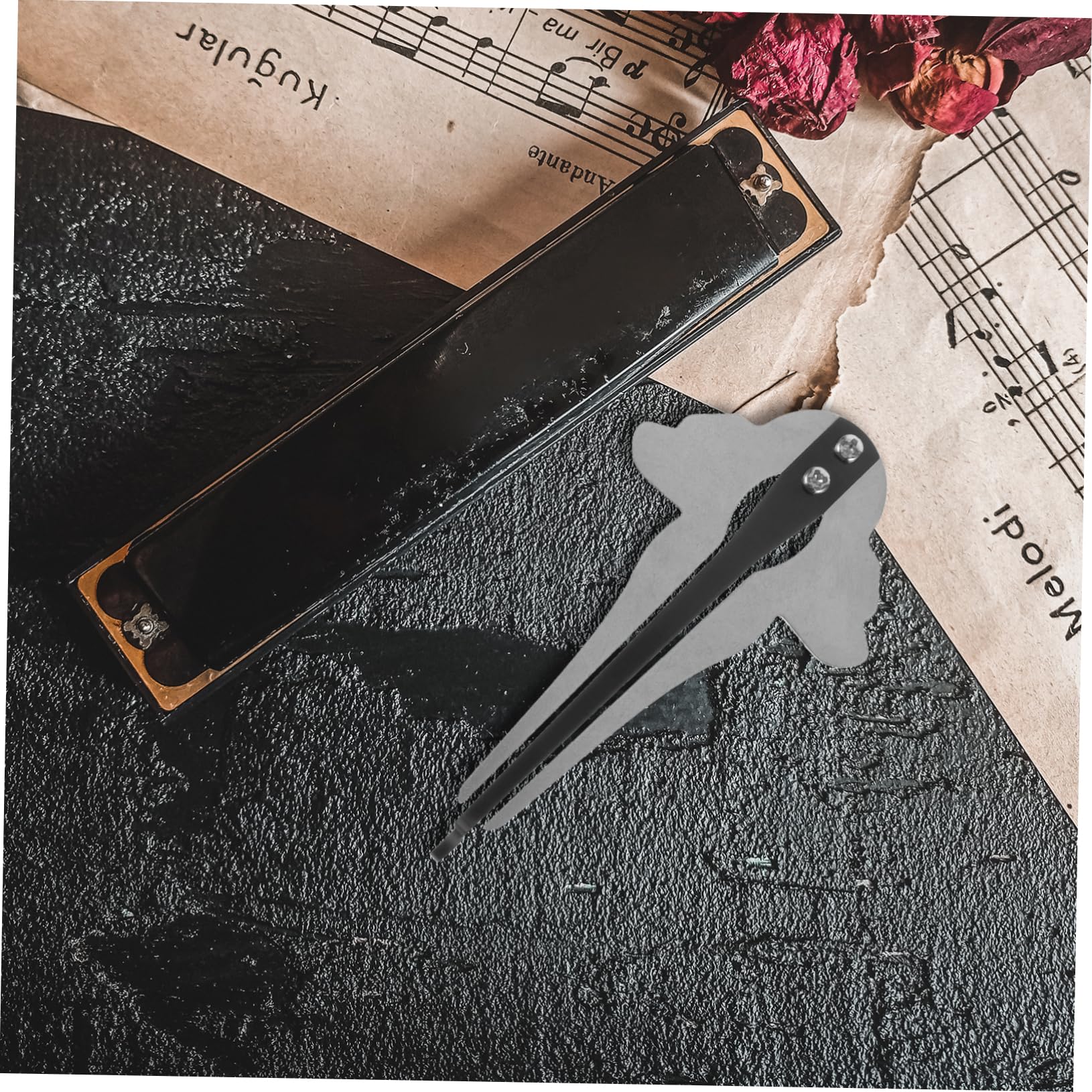 LIFKOME Jaw Harp Musical Instrument National Harp Perfect for Beginners Easy Learning Portable