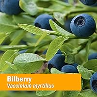 Vista 2 de Herb Pharm Eye Health Fórmula herbaria líquida con extracto líquido de arándano y goji - 1 onza (paquete de 2)