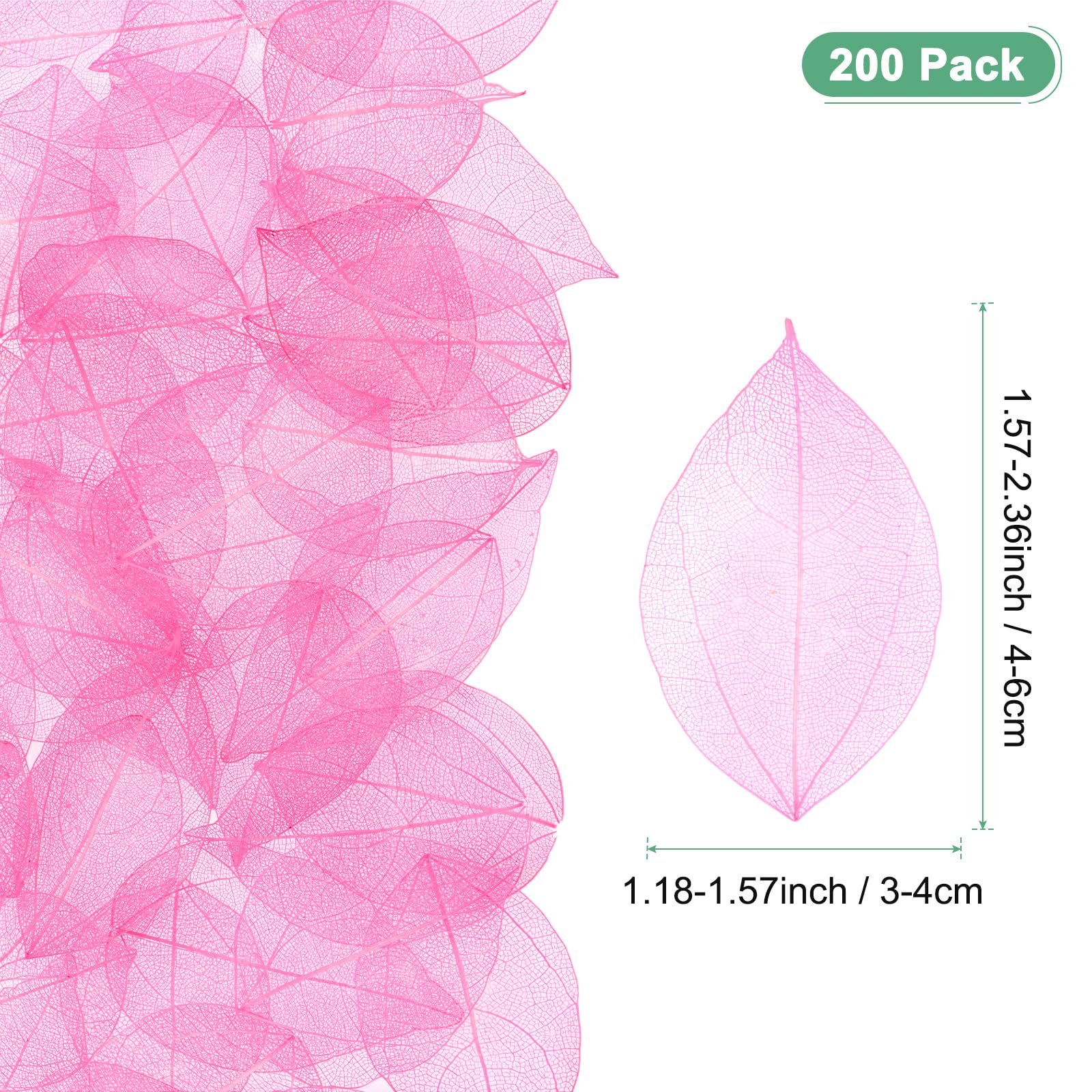 M METERXITY 200-Pack Skeleton Leaves - Image 3