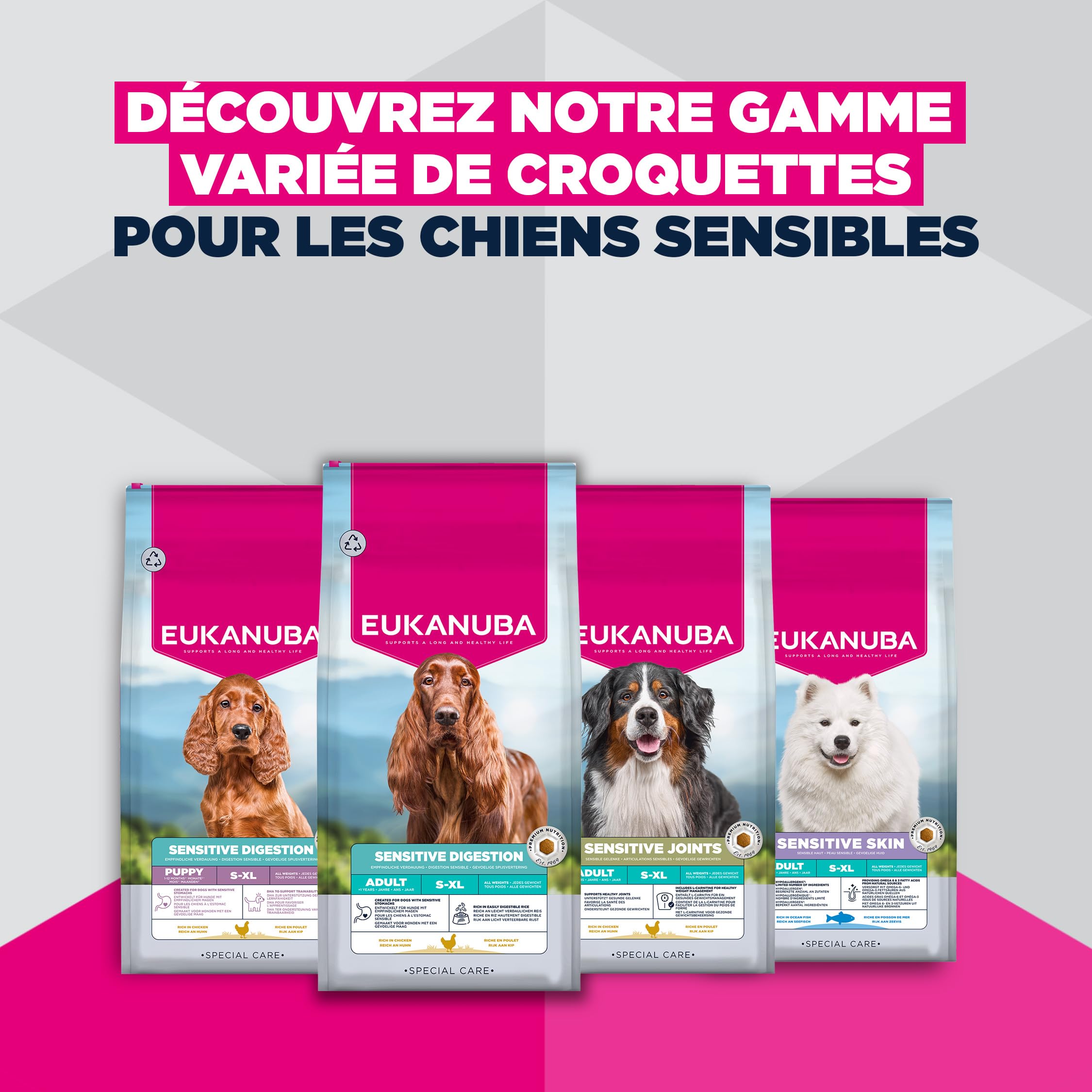 EUKANUBA Sensitive Skin Aliment pour Chiens au Poisson de mer - Aliment Sec Special Care hypoallergénique pour Chiens à Peau Sensible, 12 kg