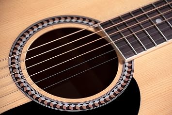 Prodipe SA25 Starter Series Auditorium Acoustic Guitar