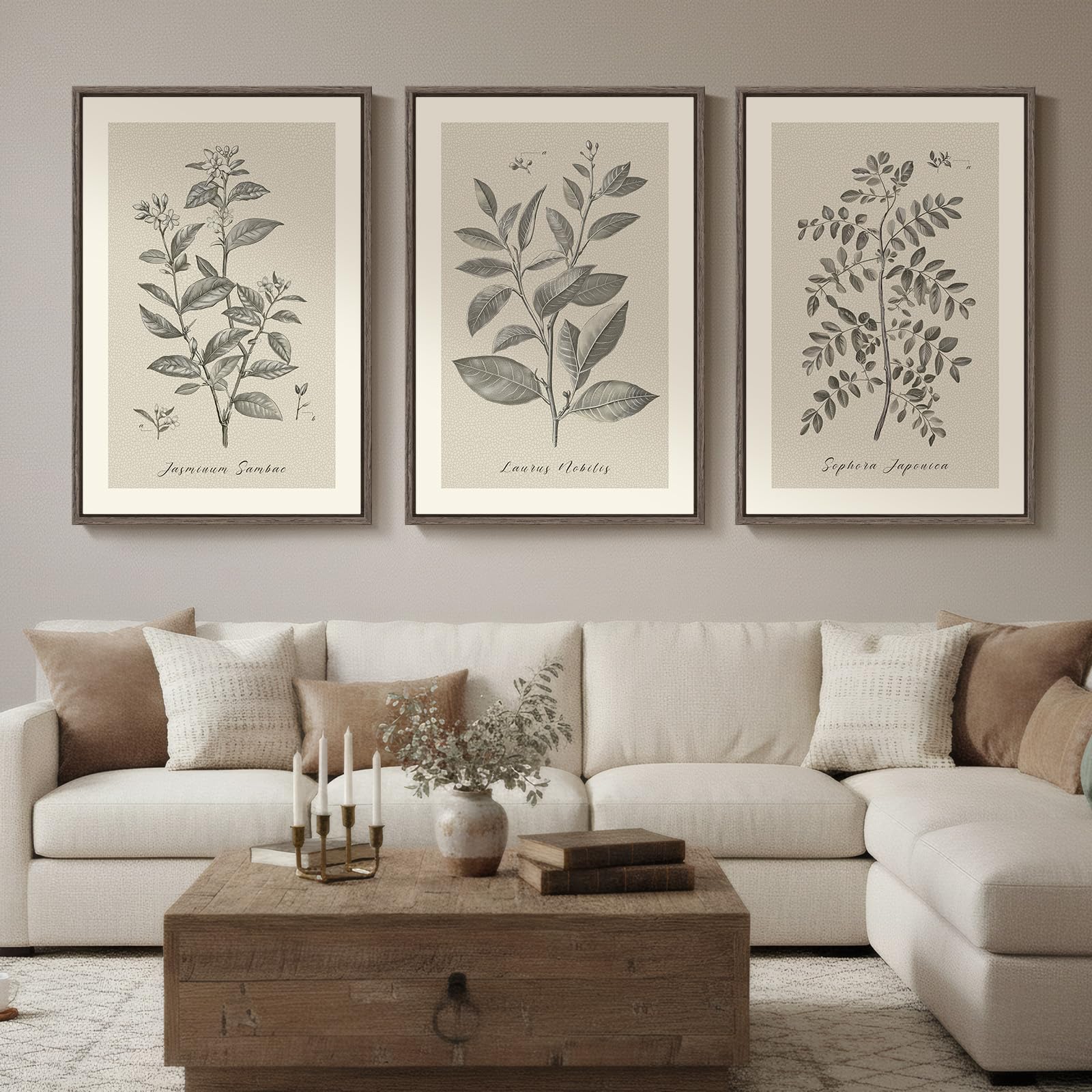 Vintage Botanical Framed Canvas Triptych