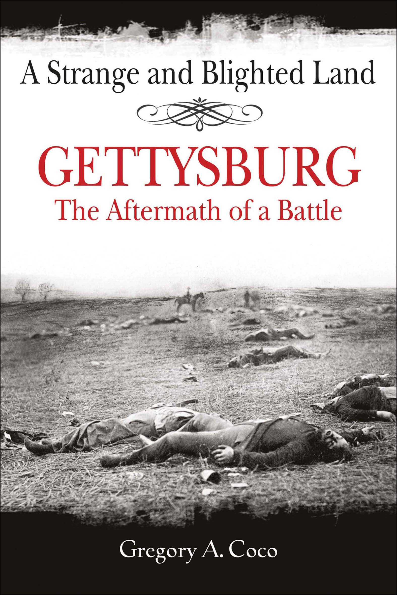 A Strange and Blighted Land: Gettysburg: The Aftermath of a Battle