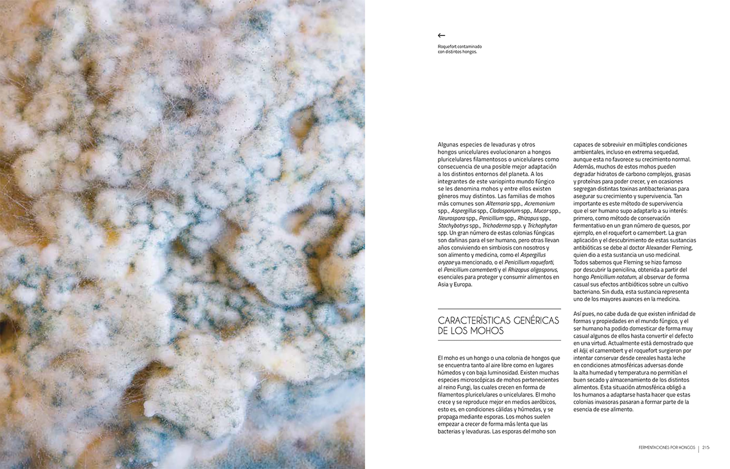 Fermentar. Fundamentos y técnicas de un arte milenario (COCINAS DEL MUNDO)