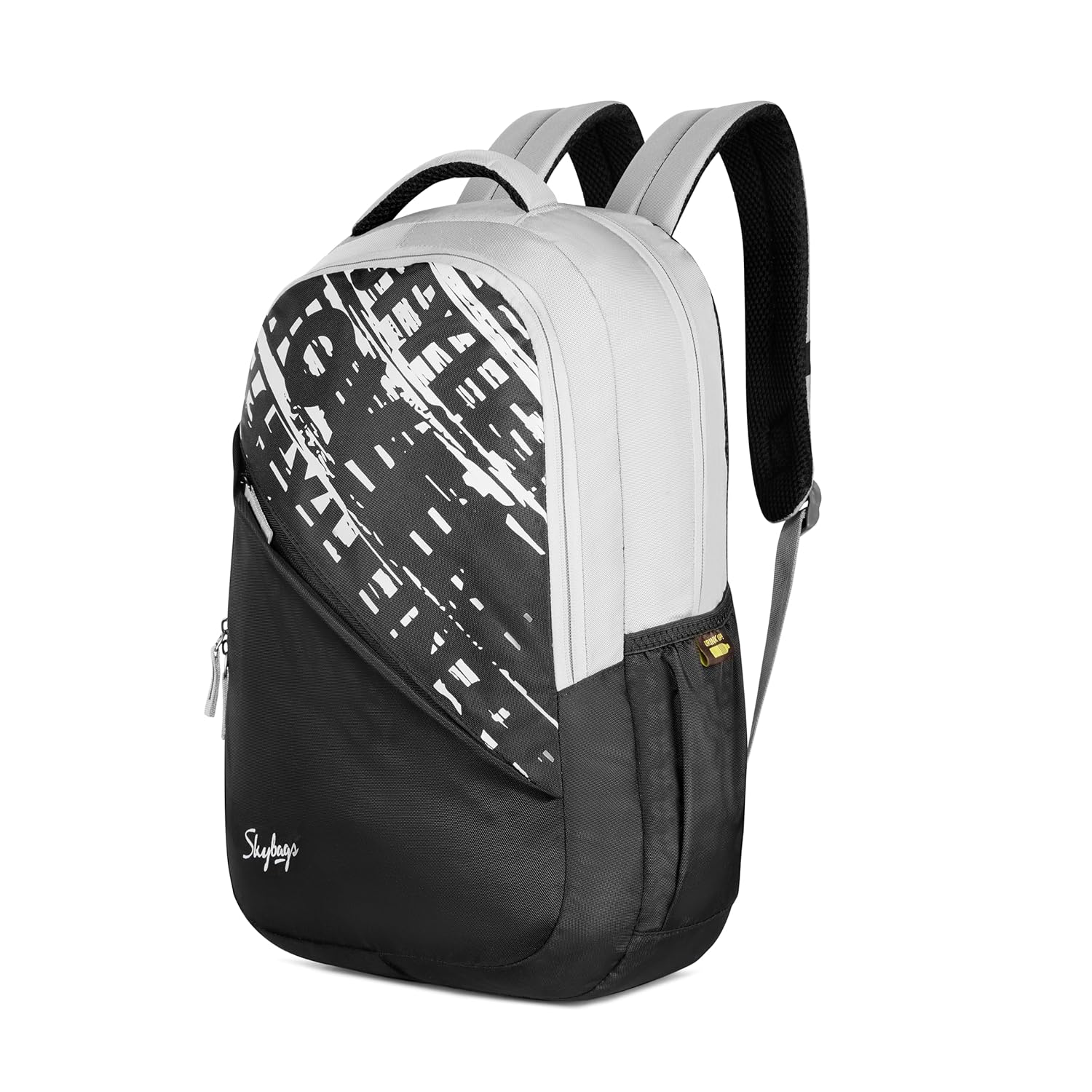 Skybags Fuse Plus 22 Liters Backpack with 17 Inch Laptop Compartment for Men & Women, Side Bottole Pocket, Organiser with Key Chain Holder, Padded Back & Shoulder Strap (Grey) 10 819BEehLfoL. SL1500