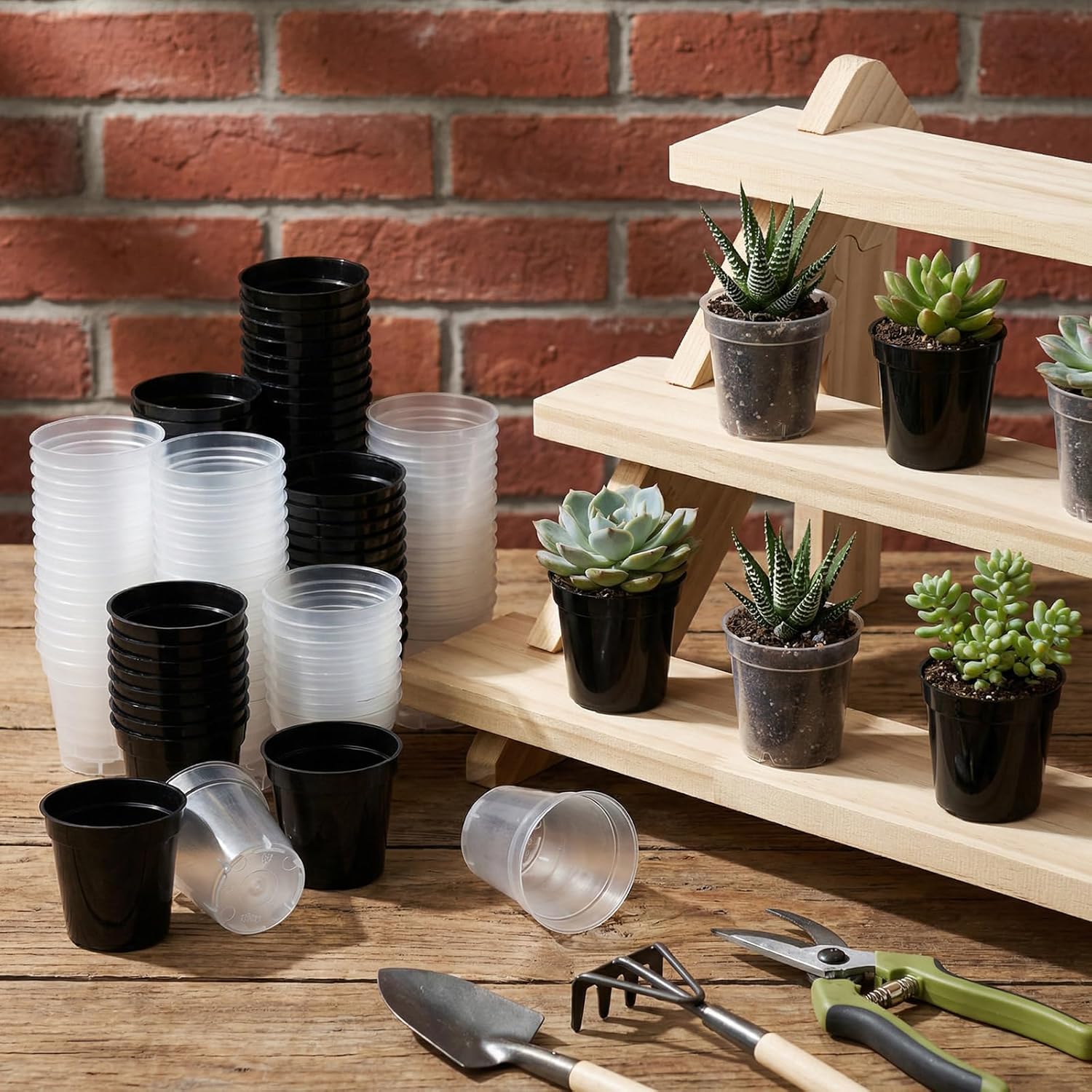 Sliner 200 Pcs 2 Inch Plastic Nursery Pot Mini Seedling Planter Flower Planting Pots Plastic Planters with Drainage Holes for Outdoor Indoor Flower, Starting Seedlings, Black, Clear