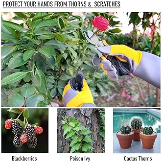 Explore Gloves For Thorns Amazon Com
