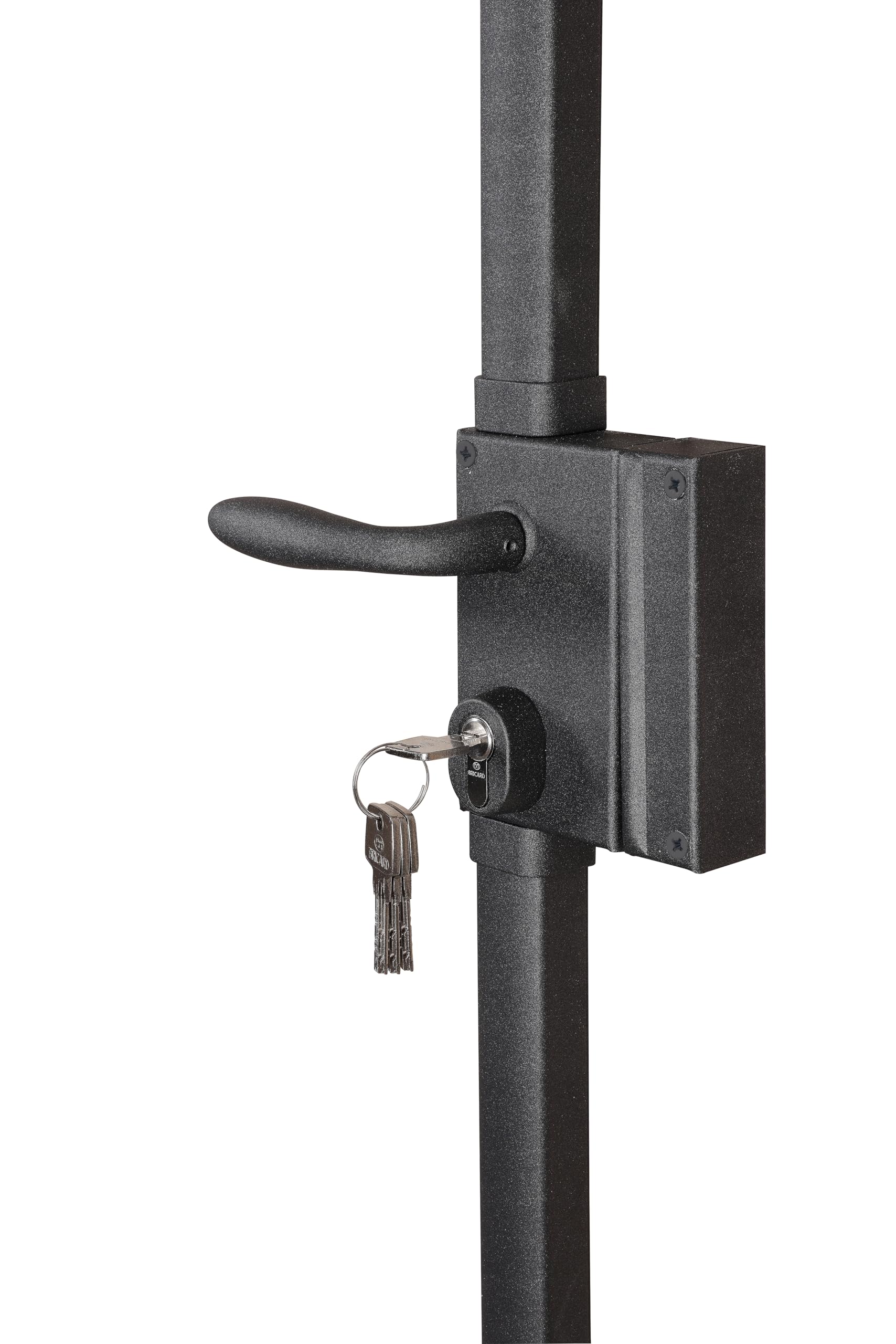 BRICARD Serrure en applique multipoints Astral 74725C, débrayable, anthracite, sens droit, fournie avec 5 clés
