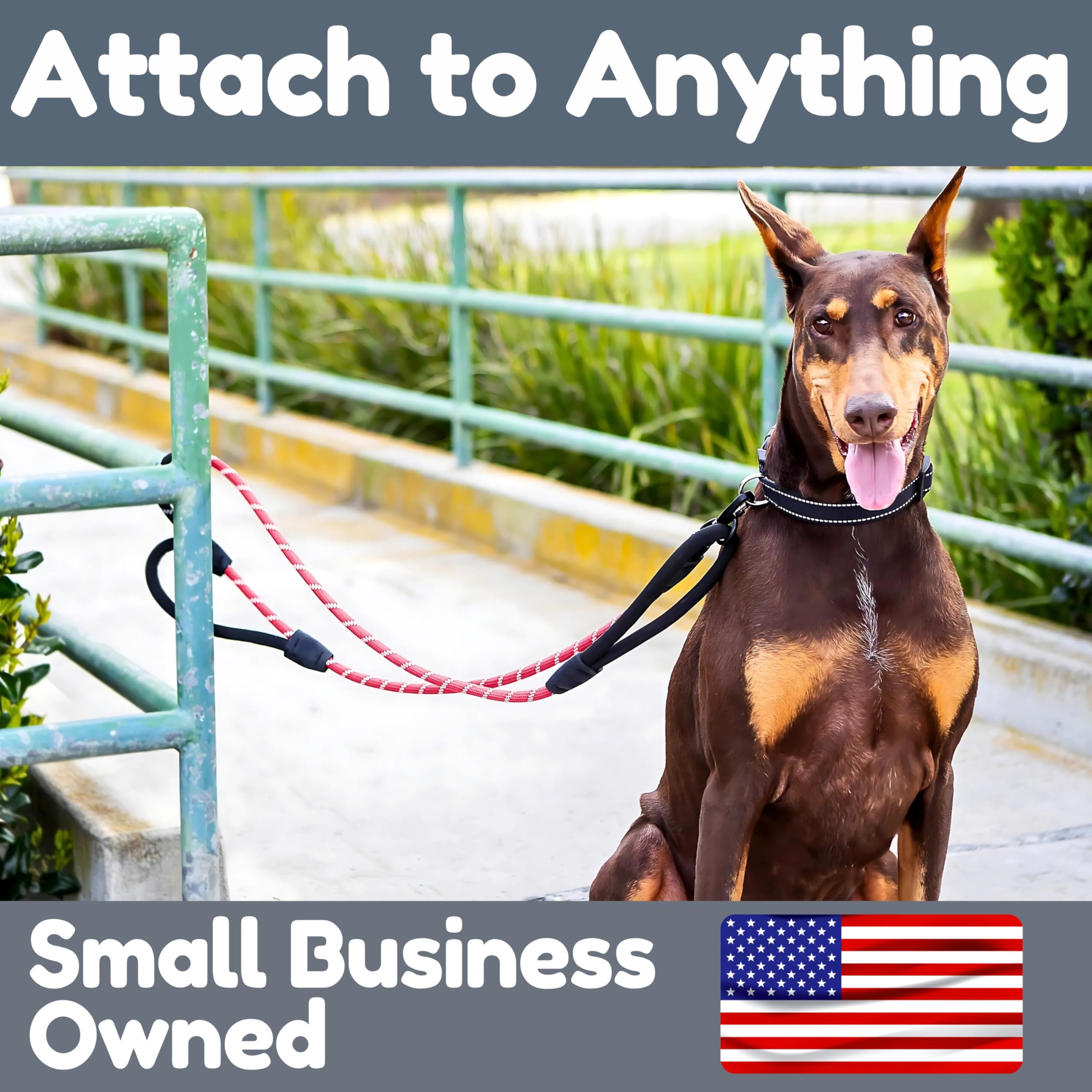 6 Foot Dog Leash, Two Extra Padded Handles, Locking Carabiner Clip, Reflective for Night Visibility, Weatherproof, Heavy Duty Rope Leash, Roam Gear (Pink) - image 8