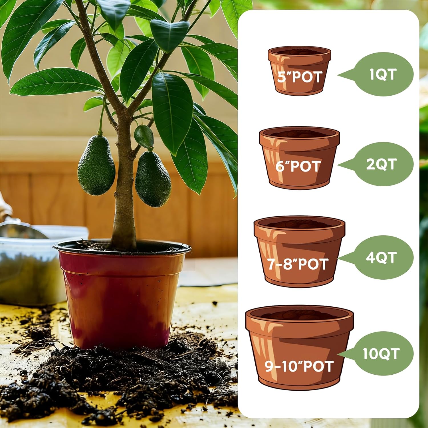 Avocado Soil 10qt, 100% Natural Organic Potting Soil for All-Stage Avocado Tree Growth