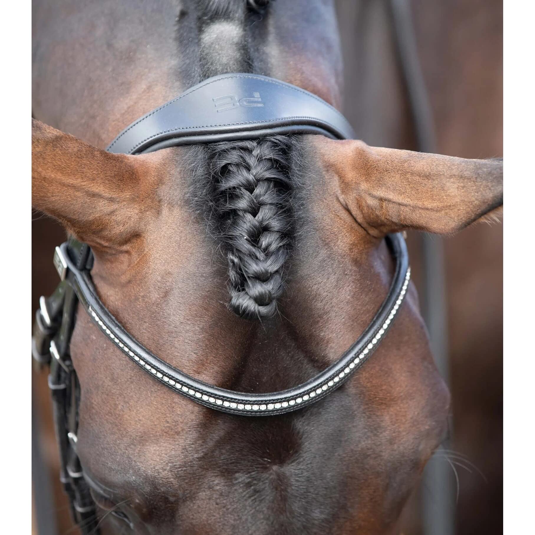 Premier Equine Cabezada anatómica combinada Stellazzio
