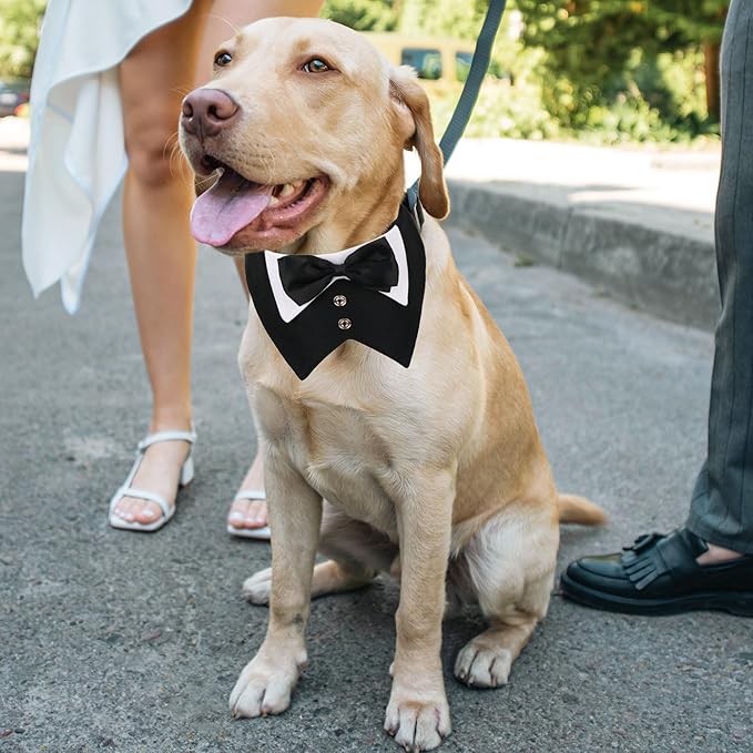 Tuxedo para Perro ADOGGYGO con Corbata, Disfraz Formal para Bodas y Cumpleaños, Talla L, Negro miniatura 2