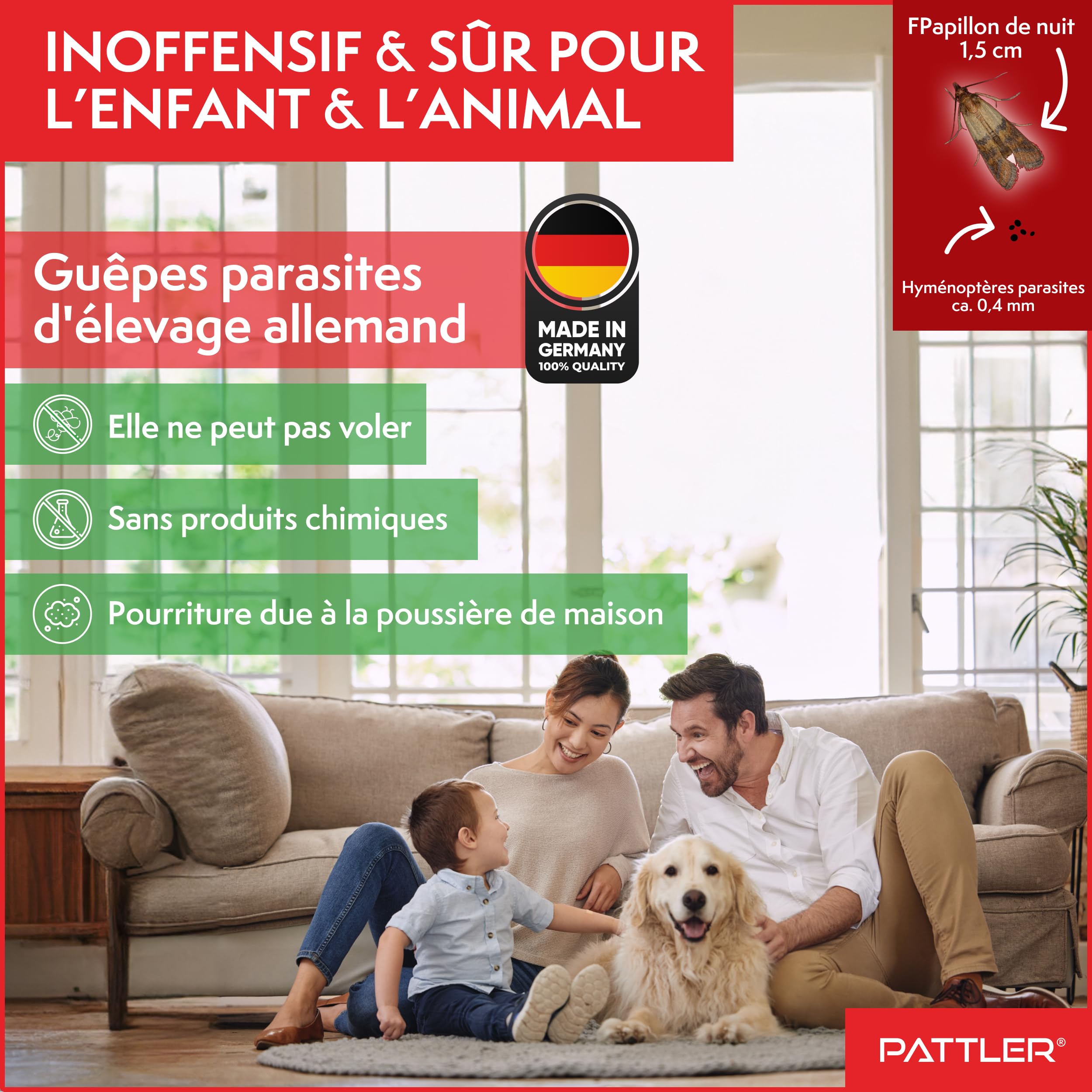 PATTLER® Guêpes Anti Mite Alimentaires - Lutte Efficace Contre Les Mites. Alternative Aux Pièges, Sprays et Pièges à Phéromones - 6 Carte à Deployer avec 1 Livraison