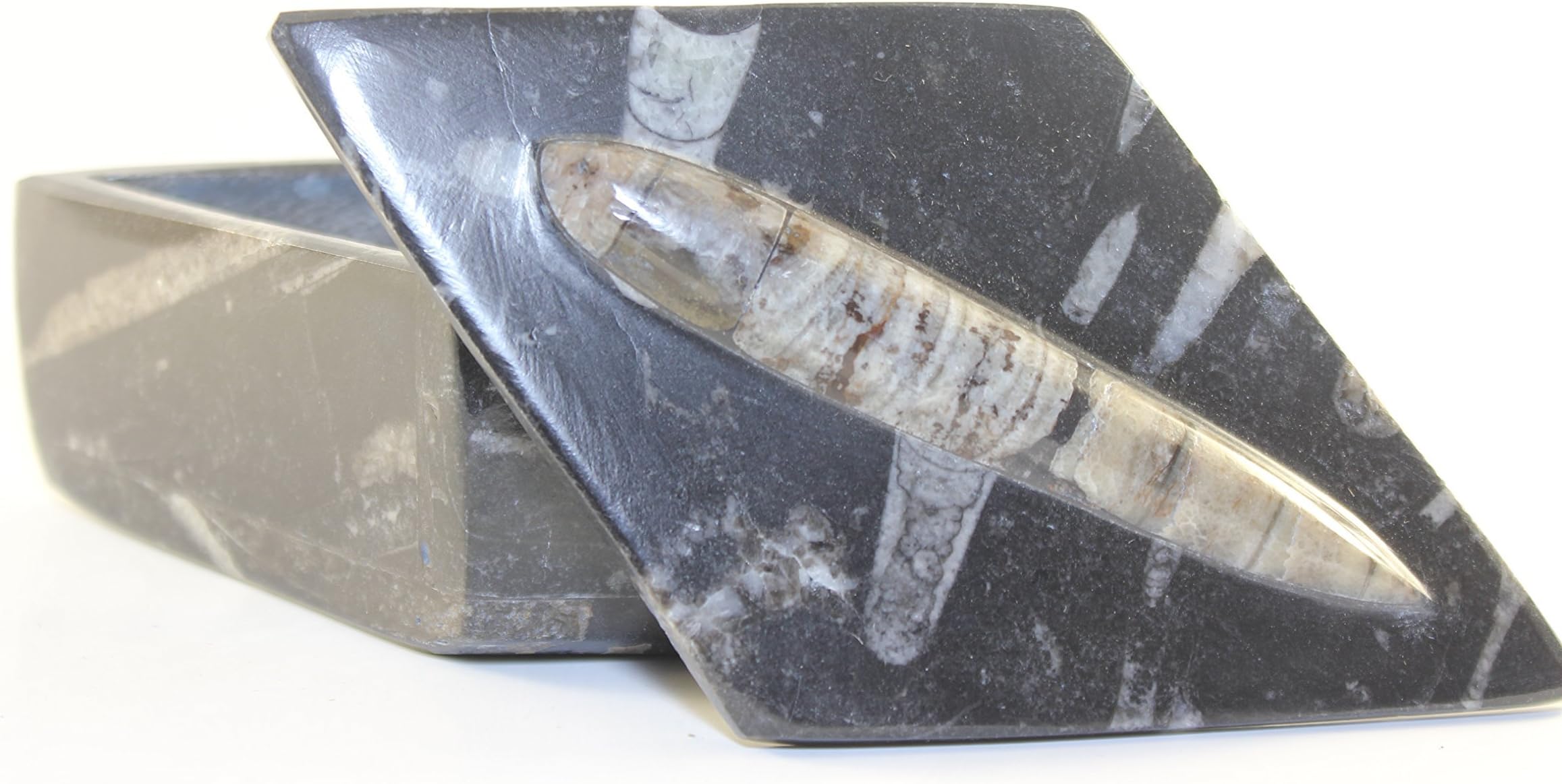 Jewelry Box From Morocco With Fossils Of Orthoceras Handmade Great Smudging Bowl