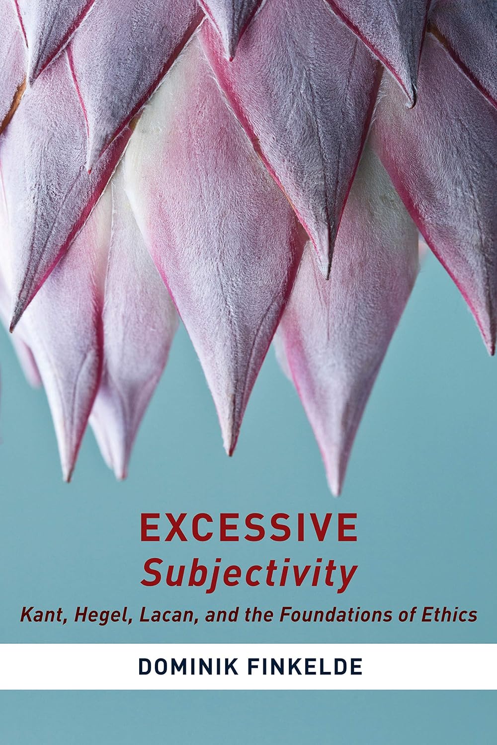 Excessive Subjectivity: Kant, Hegel, Lacan, and the Foundations of Ethics (Insurrections: Critical Studies in Religion, Politics, and Culture)