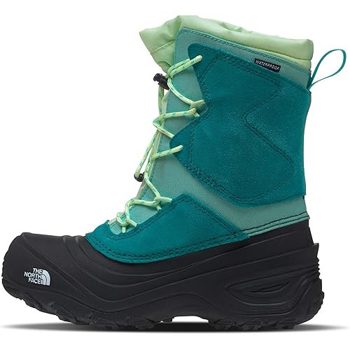 THE NORTH FACE Alpenglow V WP Kids Hiking Shoes
