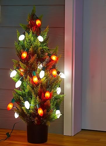 Miniatura 9 de Luces LED C9 de Navidad para exteriores, cadena de luces C9 de 100 pies con 100 bombillas mate inastillables, luces de árbol de Navidad impermeables