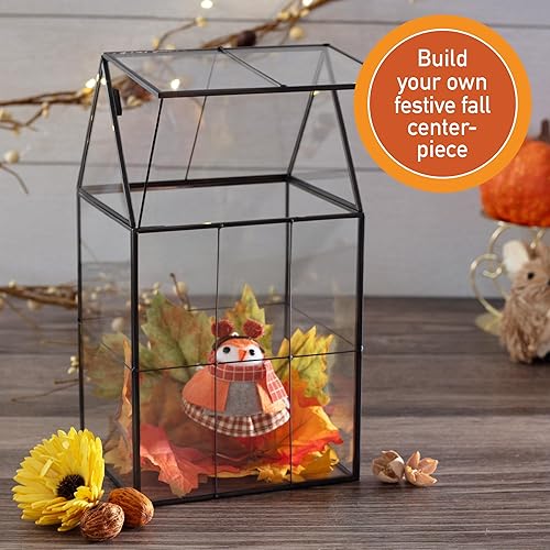 Miniatura 7 de D'Eco - Terrario geométrico de vidrio para plantas (6 x 5 x 11), centro de mesa de otoño para suculentas, plantas de aire y musgo, decoración para