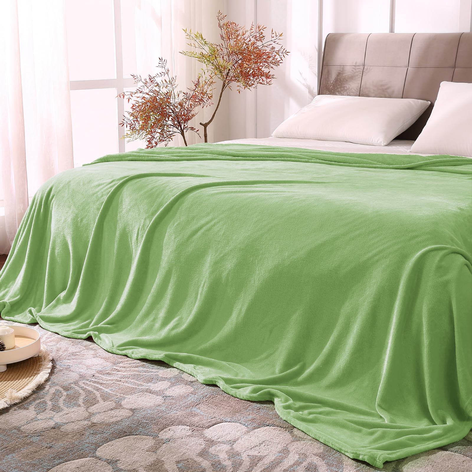BEDELITE Fleece Blanket Soft Plush Queen Bed Blanket Grass Green 90"x90" | Ultra Soft Fleece, Plush Microfiber, Lightweight Warmth, All Season Comfort, Fade Resistant, Machine Washable,Perfect for Bed
