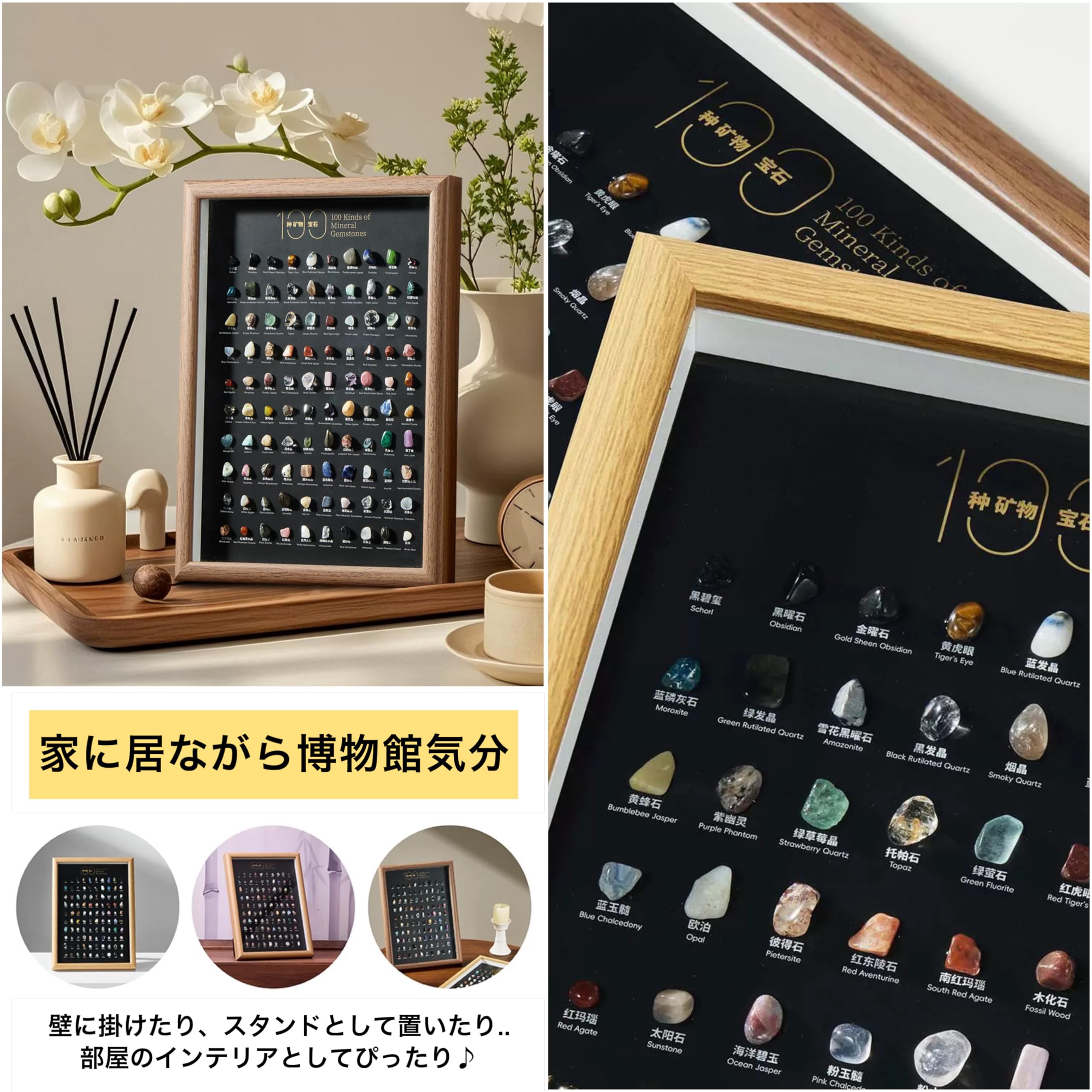 Amazon | GRAVITY 100種 鉱物 鉱石 標本 壁掛け スタンド 天然石