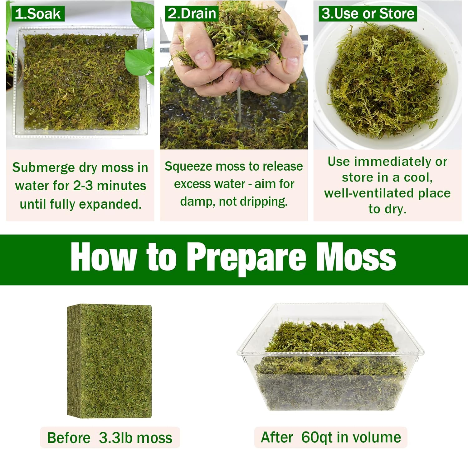 ZeeDix 3.3 lbs Forest Moss for Plants Indoor - Dried Orchid Moss for Repotting, Natural Green Sphagnum for Potted Plants Carnivorous Monstera Succulents Crafts Reptile Habitat (Expands to 60 qt)